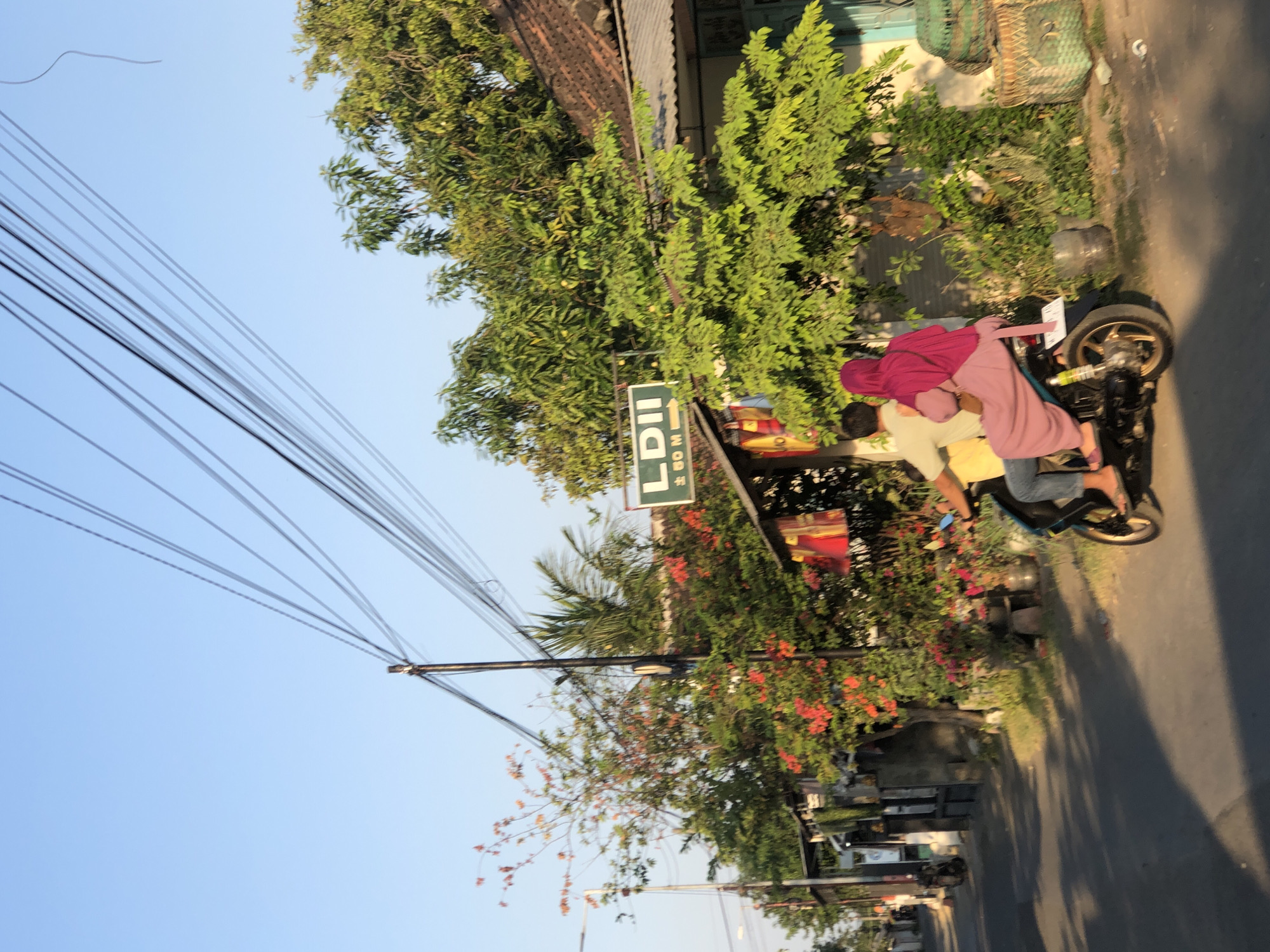 A motorcycle with two occupants is traveling down a paved road in Kalidawir, Indonesia. The driver is wearing a yellow shirt and blue jeans, while the passenger is wearing a pink hijab and a pink dress. The motorcycle is black and blue. On the right side of the road, there is a building with a tiled roof and a green door. There are also trees and bushes with red and orange flowers. A sign with the text "LDII" and an arrow pointing to the right is visible on the left side of the road, above a small building. The sky is clear and blue, and the sun is casting shadows on the road, indicating it is either morning or late afternoon. Electrical wires are strung across the sky, supported by utility poles.