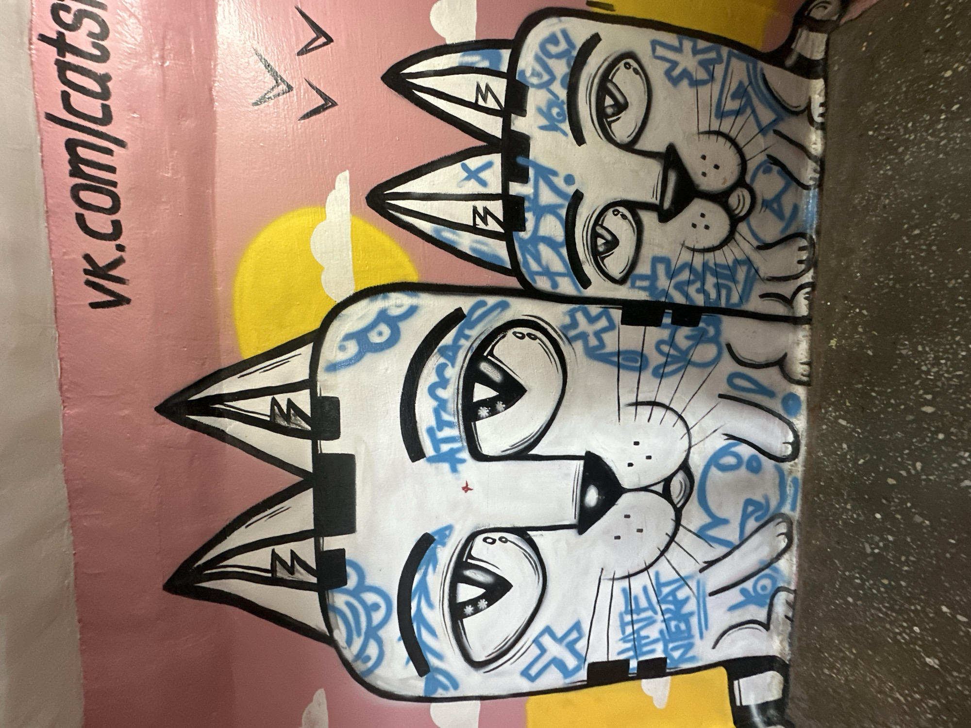 The image depicts graffiti on a pink wall, featuring two stylized white cats with blue markings. The larger cat on the left has black eyes with white star-shaped pupils, a black nose, and black whiskers. The smaller cat on the right has similar features. Both cats have prominent black-outlined ears. The background includes a yellow sun, white clouds, and three small black bird silhouettes in flight. The text "vk.com/cats" is written in black on the upper right portion of the wall. The graffiti appears to be on an interior wall, possibly in a tunnel or underpass, with a textured, dark ground surface in the foreground. The art style is cartoonish and graffiti-like. The location is identified as Biysk, Russia.
