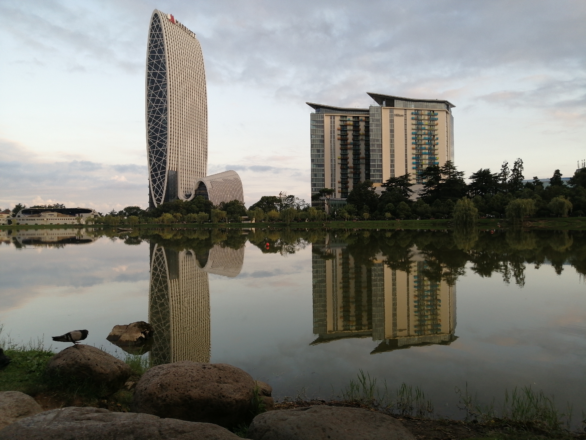 The image shows a waterfront view of two modern high-rise buildings, the Marriott and the Hilton, located in Batumi, Georgia. The Marriott building, on the left, has a distinctive curved, oval shape with a patterned facade. The Hilton building, on the right, is a more rectangular structure with visible balconies. Both buildings are reflected in the calm water of a lake or river in the foreground. The sky is overcast, and trees and other greenery line the waterfront. In the lower left corner, a pigeon is perched on a large rock. The scene appears to be captured during the late afternoon or early evening.