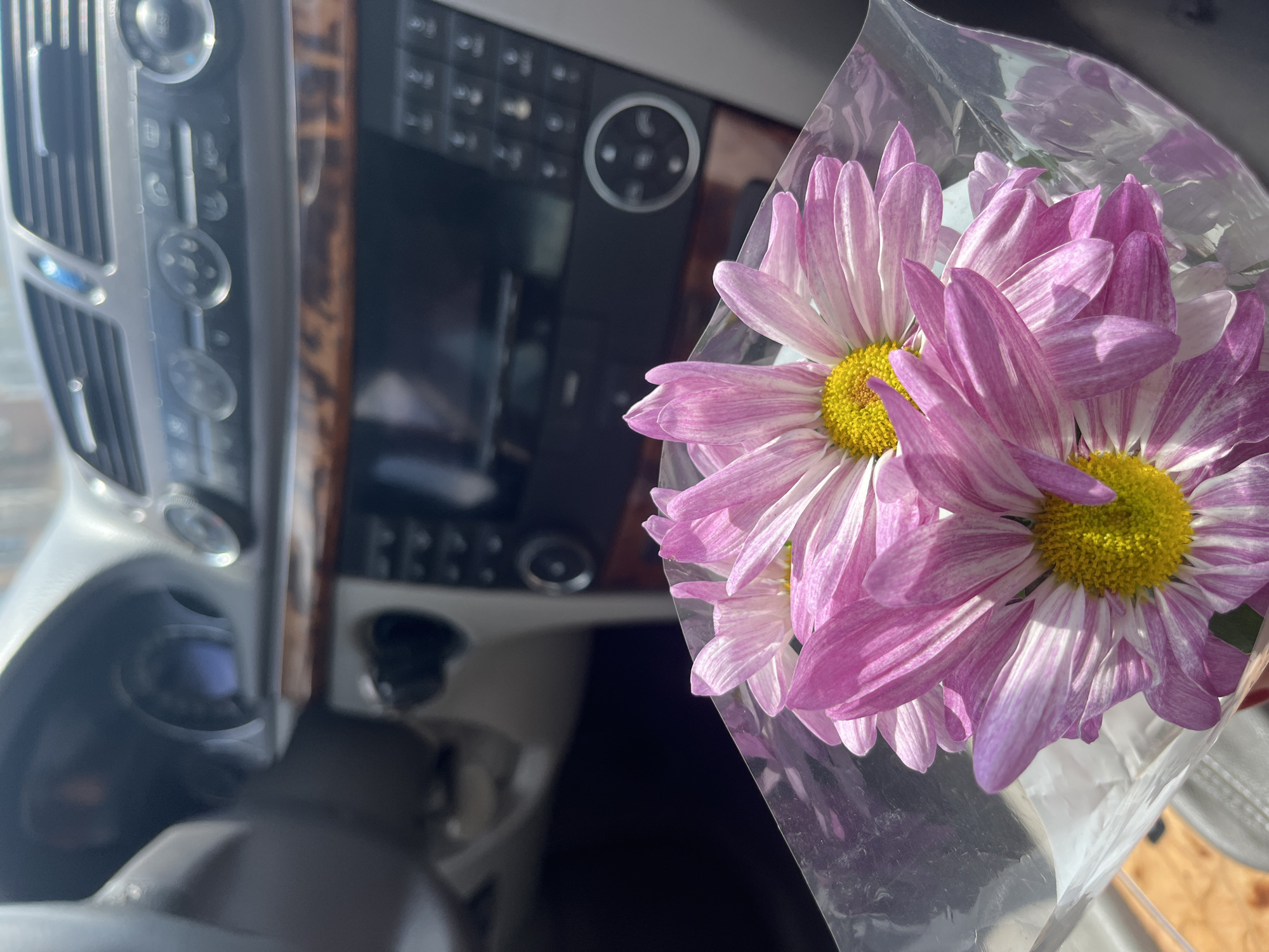The image depicts a bouquet of purple and white daisies, wrapped in clear plastic, positioned inside a vehicle. The car's dashboard is visible in the background, featuring climate control vents, a navigation or entertainment system, and wood trim. The location in the city of Burgas, Bulgaria is not discernable from the visual information provided. No people, specific actions, or interactions are depicted.