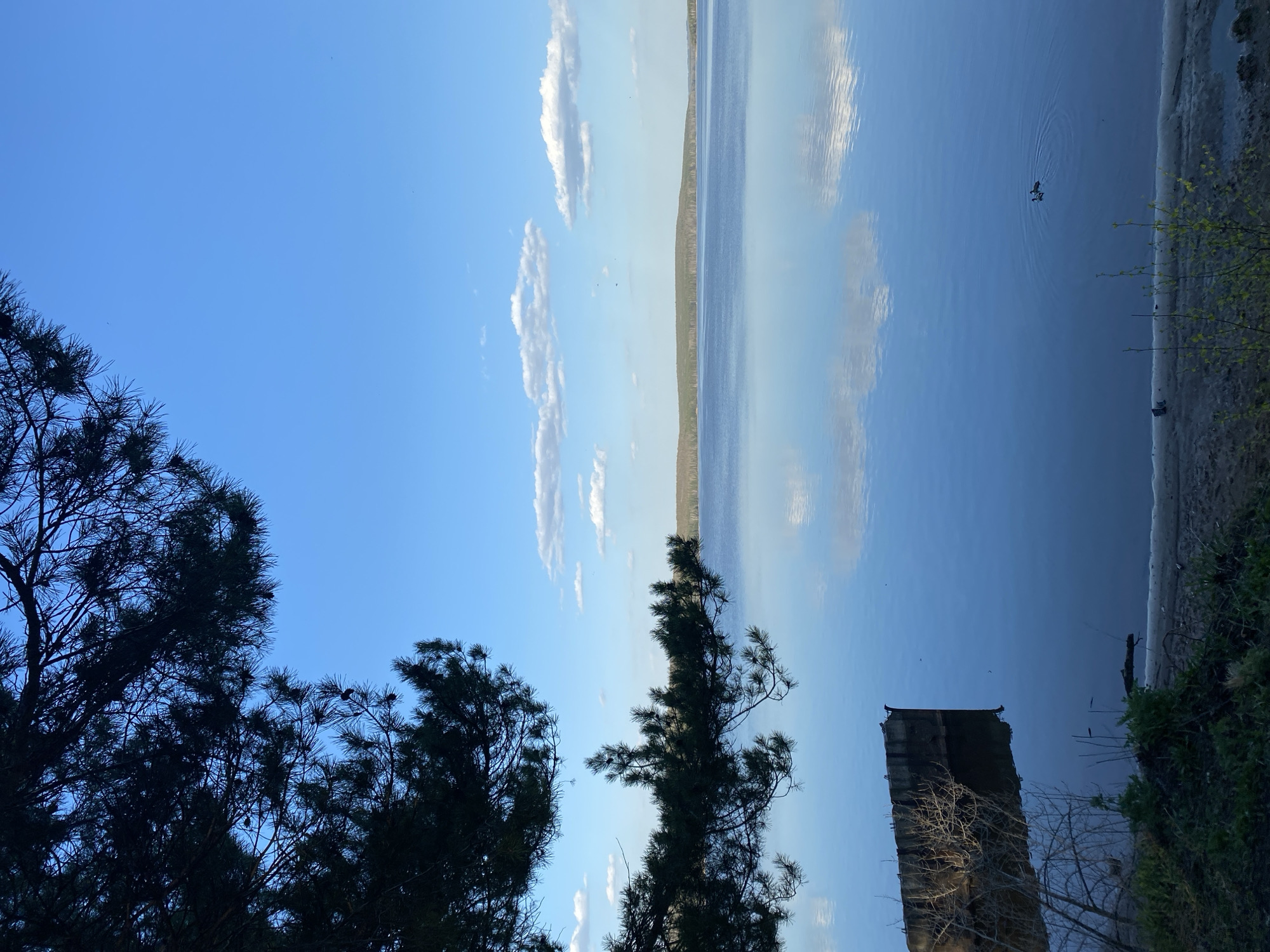 The image shows a body of water, possibly a river or lake, under a clear blue sky with scattered clouds. The water reflects the sky and clouds, creating a mirroring effect. In the foreground, there are dark silhouettes of trees, likely pine trees, on the left side. A structure, possibly a concrete pier or embankment, is visible on the right side of the image. There is vegetation along the shoreline. The landscape is typical of a lakeside or riverside setting, indicating a natural environment. Given the description, the location is Chaikovsky, Russia. The image doesn't show the city.