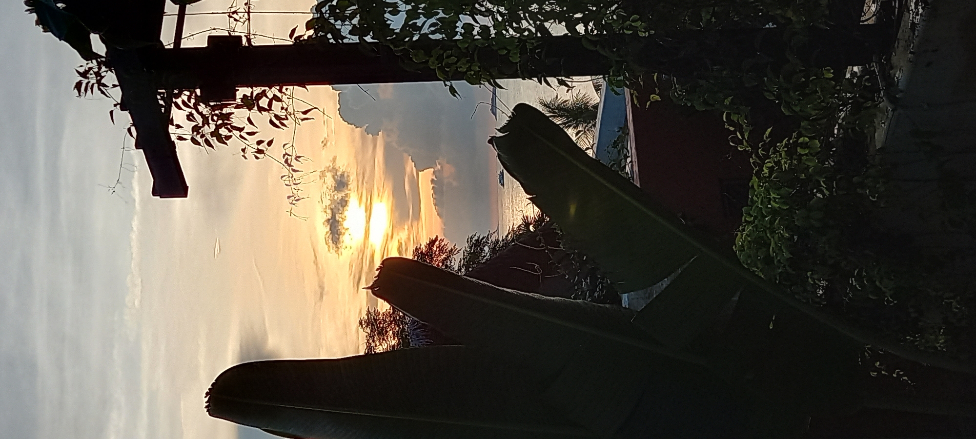 Captured at Baan Wok Tum, Thailand, the image presents a view dominated by natural elements. In the foreground, large banana leaves are silhouetted against the scene. Above, the sun pierces through a mix of clouds, creating a striking display of orange and yellow hues. A glimpse of the sea can be seen in the distance. Vines and foliage frame the view, adding depth. A utility pole also appears on the left side of the frame.