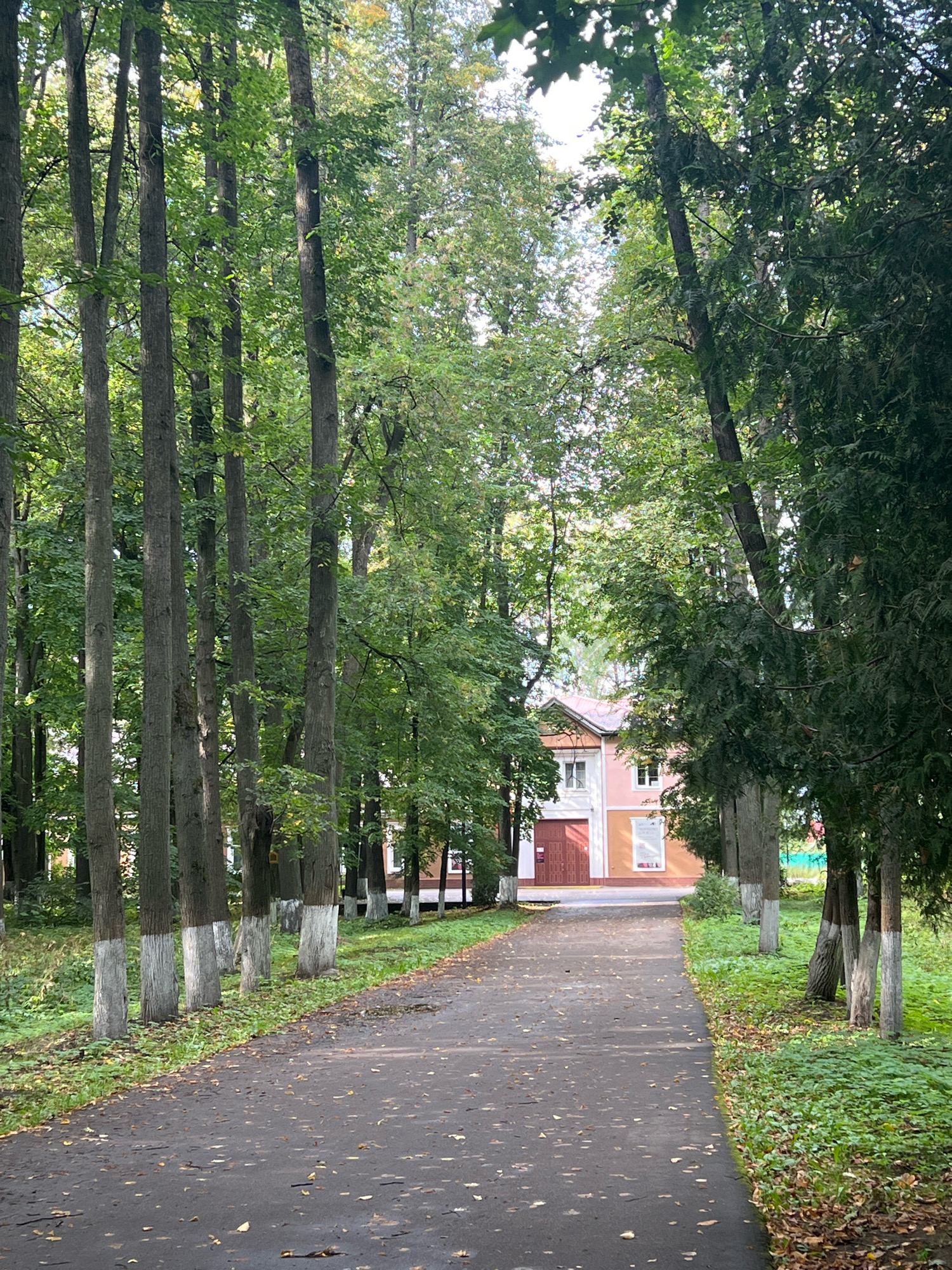 The image shows a paved pathway curving through a tree-lined avenue. The trees on the left have white-painted bases. In the background, a two-story building with a red roof and light pink and peach colored walls is visible. The building has several windows and prominent red double doors on the ground floor. Fallen leaves are scattered on the pathway and the grassy areas surrounding it. The scene appears to be a park or a pathway leading to a residential or institutional building in Klin, Russia.