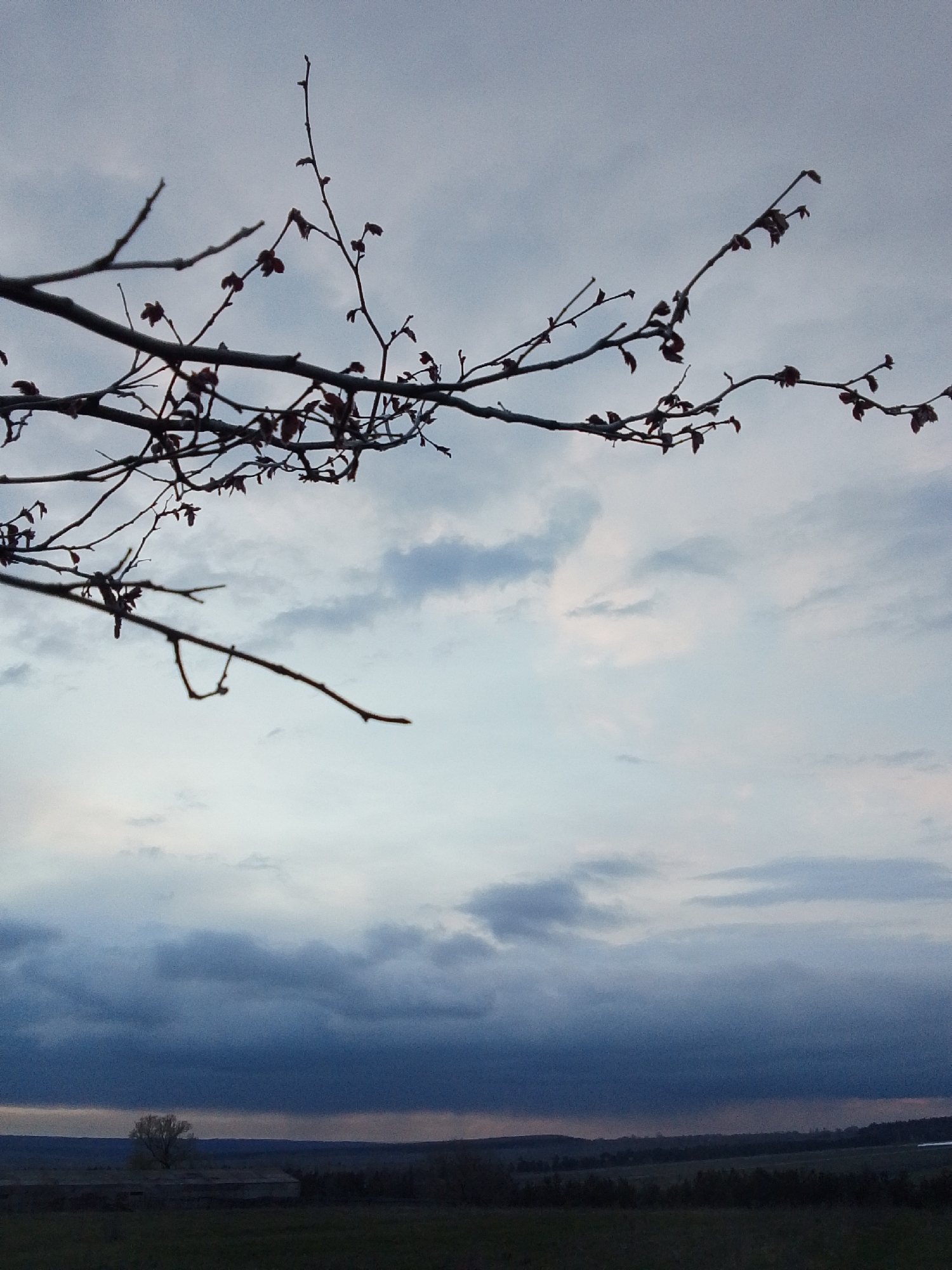 The image presents a rural landscape at twilight or dusk, characterized by a predominantly overcast sky and muted colors. In the immediate foreground, dark, bare tree branches extend across the top and left side of the frame, featuring small, undeveloped buds that suggest late winter or early spring. These branches are silhouetted against the lighter sky.
The sky is a prominent element, showcasing multiple layers of clouds. The upper portion is a soft, diffused greyish-blue, gradually transitioning downwards to darker, heavier, and denser clouds that display shades of deep grey and blue, hinting at an impending storm or the deep hours of night.
Below the dark cloud band, a vast, open landscape stretches towards the horizon. Dark, undulating hills or agricultural fields are visible in the distance, rendered indistinct by the low light. A solitary, leafless tree stands prominently in the mid-ground on the left side of the frame. To its right, a long, low-lying structure, possibly a barn or an abandoned building, is subtly discernible against the dark terrain.
The scene evokes a sense of quiet solitude and a transitional moment as day fades. There is no visible activity or people. The overall mood is tranquil yet slightly somber due to the heavy clouds and fading light. No text is visible in the image. The depicted location is Khlevnoye, Russia.