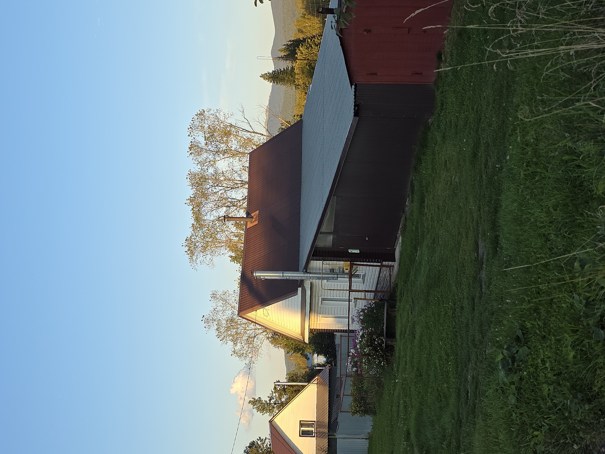 In the city of Magnitka, Russia, a residential scene unfolds under a clear blue sky. The foreground is dominated by lush green grass, with some taller weeds and a patch of darker foliage on the left.
A white house with a brown roof is the central subject, partially illuminated by the warm glow of the setting sun. A silver chimney extends from its roof, and a second, smaller white house with a brown roof is visible to the left, separated by a metal fence.
Adjacent to the main house, a long, dark brown, corrugated structure with a lighter metal roof extends to the right. Attached to the end of this structure is a smaller, red, shed-like building with a red door.
A low metal fence encloses a small garden area in front of the white house, featuring blooming pink and white flowers and a wooden bench. Several trees with sparse, light-colored foliage are scattered across the middle ground, with a dense forest and rolling hills forming the backdrop. The scene appears to be a peaceful, rural residential area.