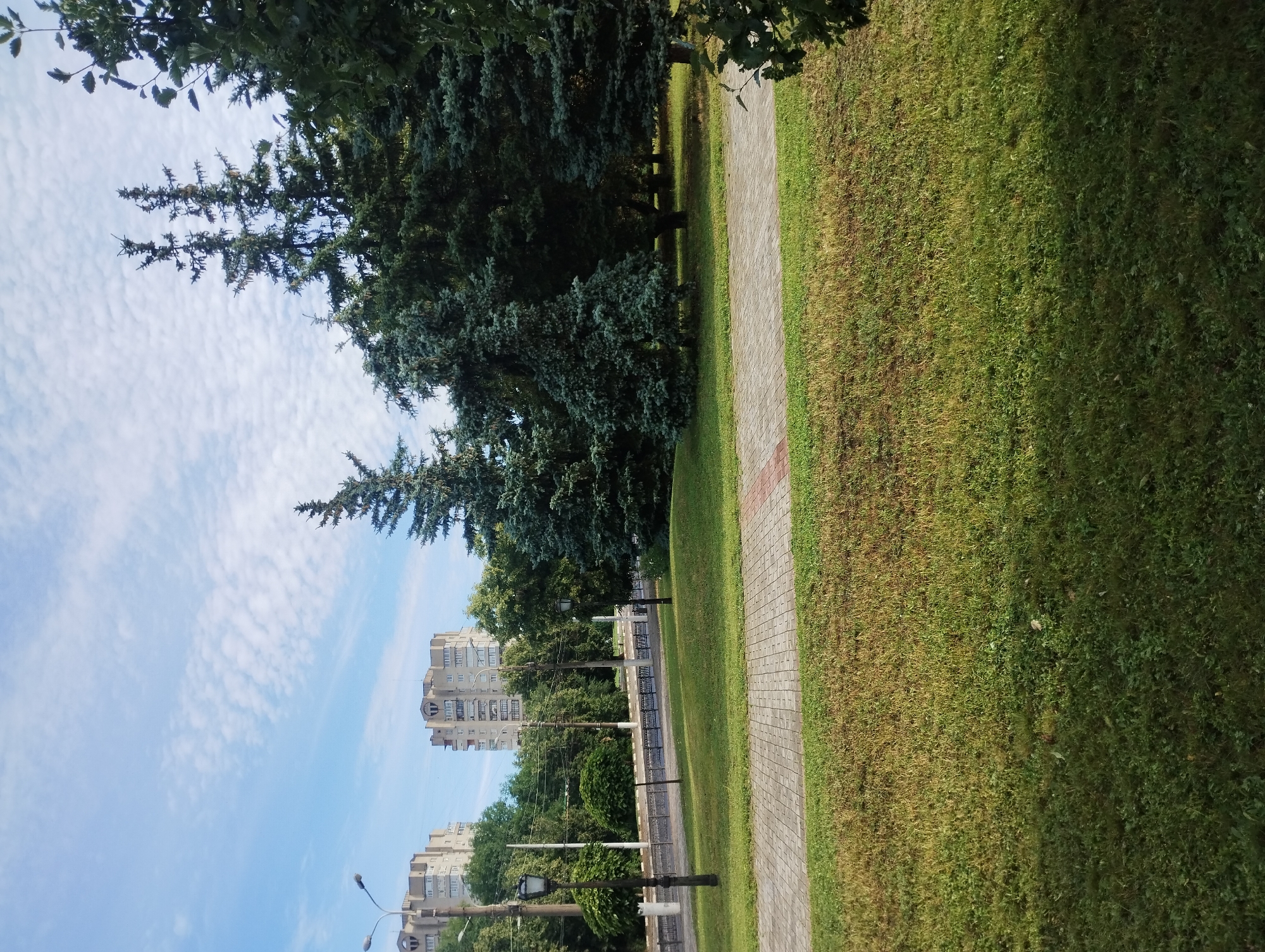 A view of a park in the city of Sumy, Ukraine, shows a paved walkway in the foreground, with a well-maintained lawn and several large evergreen trees behind it. In the middle ground, a street with a decorative metal fence separates the park from a sidewalk and more trees. Two tall, light-colored residential buildings with many windows are visible in the background, under a blue sky with scattered white clouds. The lighting suggests it is daytime, likely morning or afternoon.