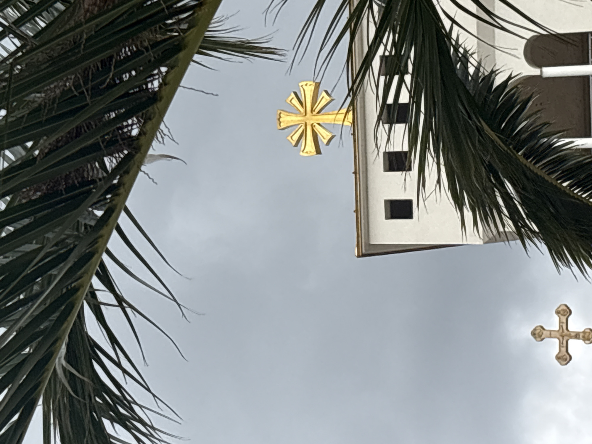 A low-angle shot shows a building with a golden cross, partially obscured by palm fronds, against a cloudy sky. Two crosses are visible on the building. The building appears to be located in Bar, Montenegro. The scene lacks people.