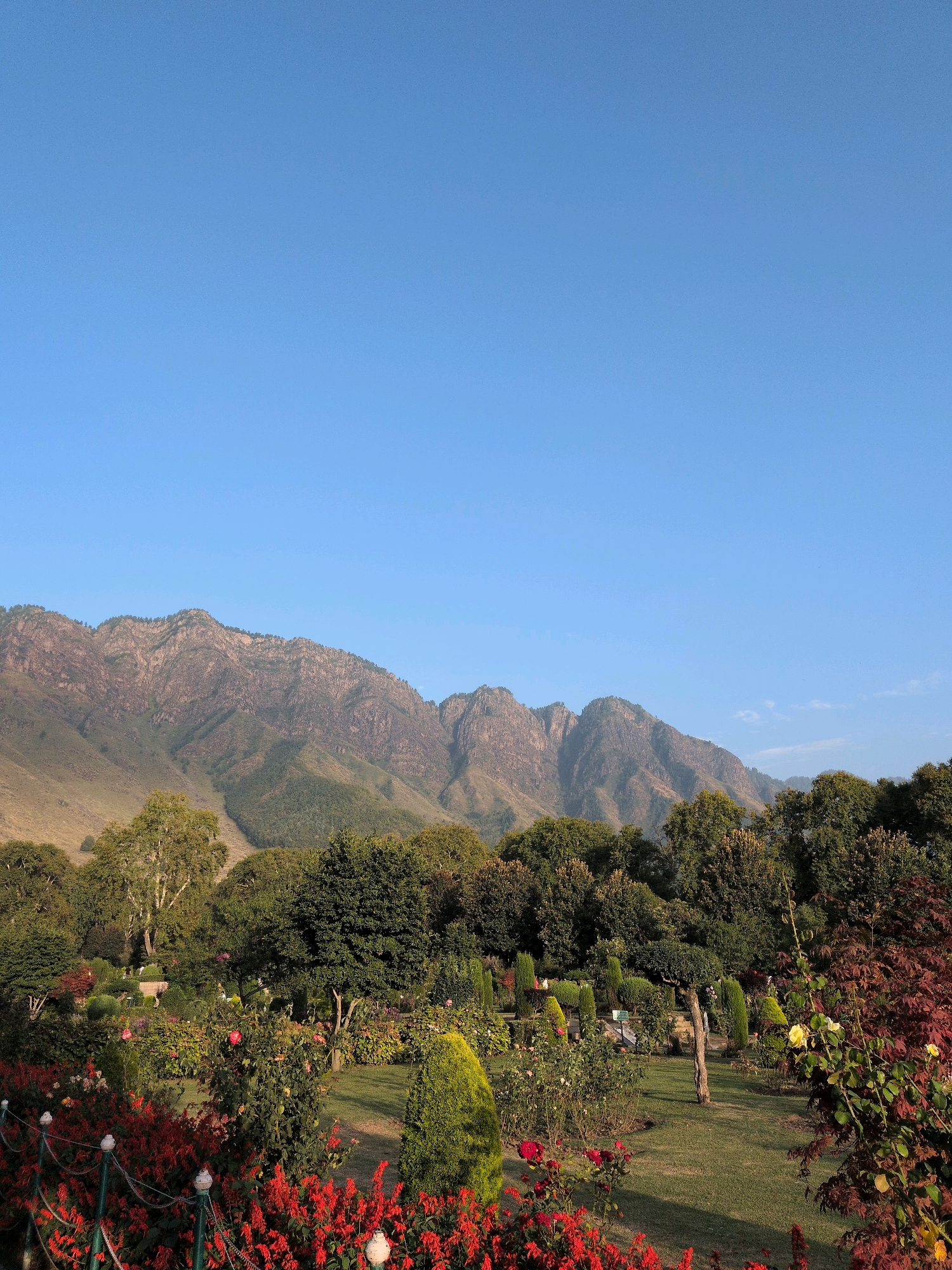 This image shows a vibrant garden in Srinagar, India, with lush greenery, colorful flowers, and majestic mountains in the background. The sky above is a clear, bright blue, indicating a sunny day. In the foreground, a variety of flowers are in full bloom, including red salvias and roses in shades of pink and yellow. These flowers are arranged in beds, some of which are bordered by a green fence with white decorative posts.
Behind the flower beds, manicured lawns are interspersed with various trees and shrubs. Some of the trees are tall and mature, with dense canopies of green leaves, while others are sculpted into decorative shapes. A few ornamental trees with red leaves add a touch of contrast to the scene. In the distance, a range of rugged mountains forms a dramatic backdrop. Their slopes are covered with a mix of sparse vegetation and rocky outcrops, and their peaks are illuminated by the sunlight. The overall impression is one of a well-maintained and picturesque garden, possibly a public park or a botanical garden, offering a serene and beautiful escape from the urban environment.