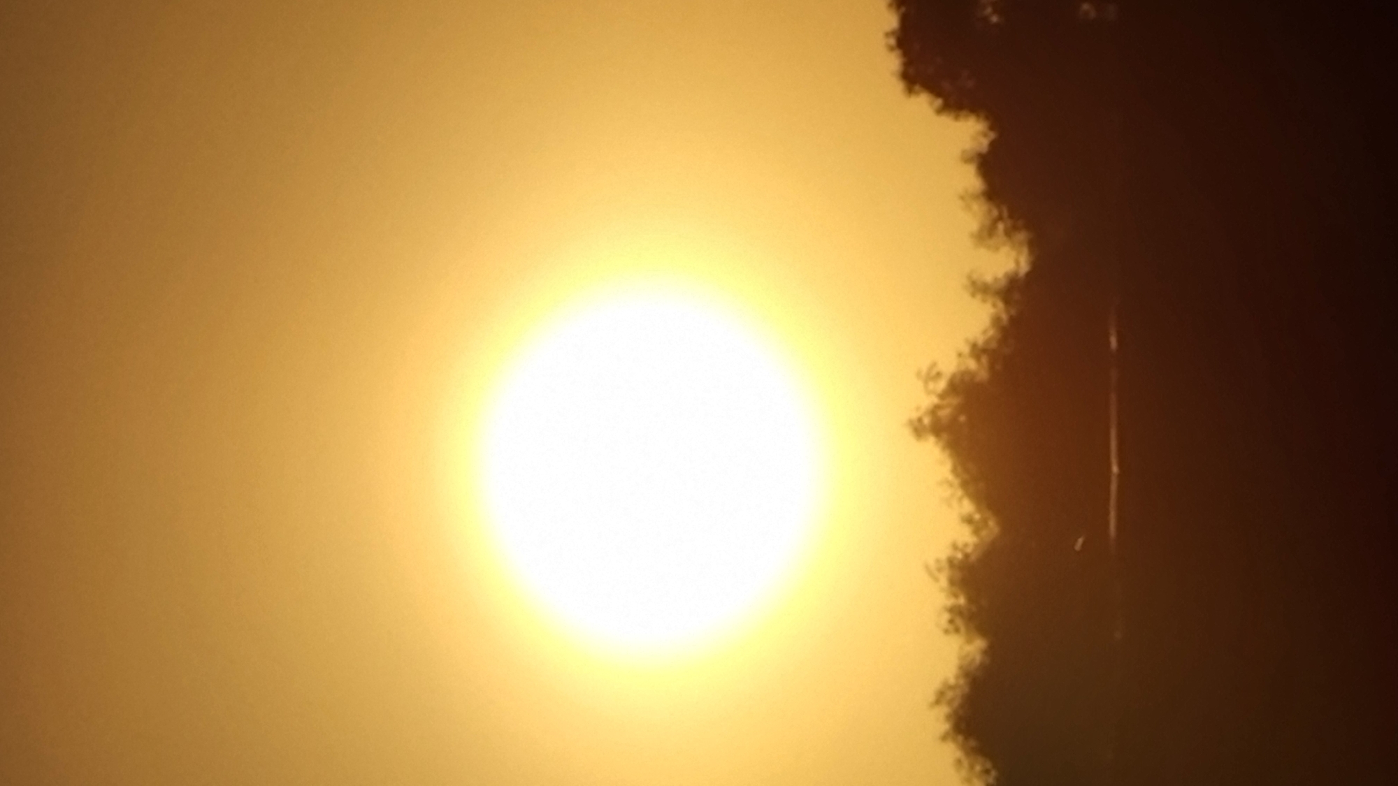 A low-angle, vertical shot captures the sun shining brightly in a hazy, golden sky. The sun is positioned slightly to the left of the frame and is a stark white circle surrounded by a soft yellow glow. Below the sun, a dark, silhouetted band of trees runs across the lower third of the image. The ground in front of the trees is also silhouetted and appears dark. The overall impression is a sunset or sunrise over a natural landscape. The image is undated and does not specify a precise location within Vysokoe, Russia.