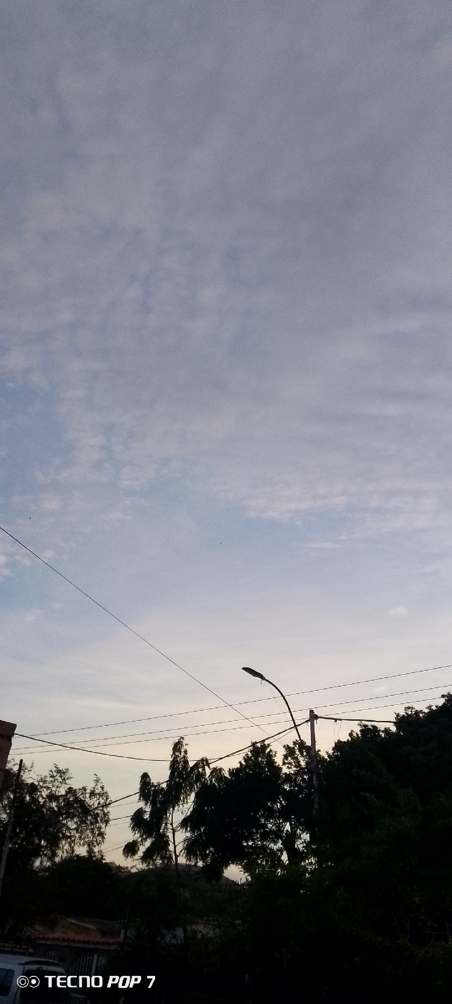 The image shows a street scene in Altagracia, Venezuela, taken at dusk or dawn. The sky is a mix of pale blue and gray, with thin, scattered clouds. Several power lines stretch across the frame. In the lower part of the image, there is a row of trees and a street light. The leaves are dark green, possibly due to the low light conditions. The bottom of the image also shows parts of a building, including a white car with a logo reading "TECNO POP 7" in the corner.