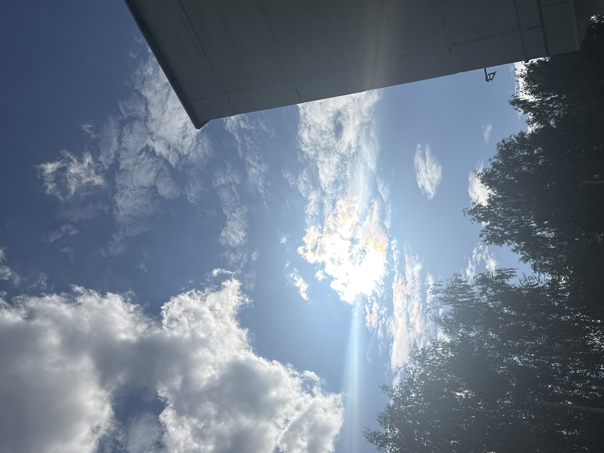The image captures a clear blue sky with scattered white and grey clouds, illuminated by bright sunlight. A portion of a modern building, appearing to be a residential or office block, occupies the right side of the frame. The building's facade is a neutral grey color. In the lower portion of the image, the tops of dark green trees are visible, silhouetted against the sky and creating a foreground element. The overall scene suggests an outdoor view in an urban environment, likely during the daytime. The presence of a building and trees suggests a location within the city of Chaikovsky, Russia, though specific landmarks are not identifiable. There are no people or observable actions in the image.