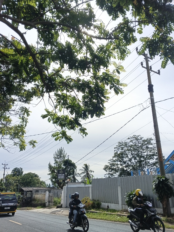 The image presents a bright daytime street scene in Carcar, Philippines, bustling with vehicles and flanked by various structures and abundant foliage. Large, green tree branches with dense leaves dominate the upper portion of the frame, with sunlight dappling through them.
On the asphalt road, a black pickup truck or van with a yellow bumper is partially visible in the left foreground, displaying a license plate that reads "B 3782 FA". Behind it, two individuals on a black motorcycle, both wearing dark helmets, are seen riding in the same lane. On the right side of the road, a single rider on a dark motorcycle, distinguished by a bright yellow helmet, is also in motion.
In the background, a network of utility poles and numerous overhead power lines crisscross the sky, with one prominent pole standing on the far right. A gray corrugated fence or wall runs along the right side of the road, while a white concrete wall and a small building are visible on the left. A black sign, hanging from a post between trees in the mid-ground, clearly displays the text "AMITY SPA & RELAKSASI REFLEKSI," indicating a spa and reflexology business. Beyond the immediate roadside, a variety of trees and green foliage, including palm trees, contribute to a lush, natural backdrop. The bright sky suggests clear or partly cloudy weather, indicating an ordinary day for commuting and local activity.