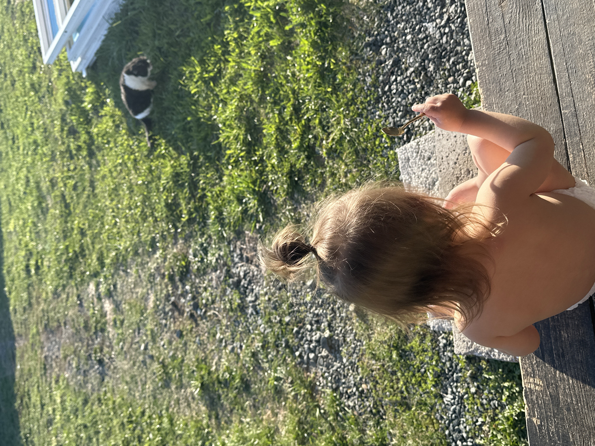 A child sits on a weathered wooden structure, likely a porch or deck, holding a spoon in their right hand. They appear to be wearing a diaper. The child's hair is light brown and pulled into a small ponytail. To the left, on a patch of green grass, a black and white cat is visible. The ground near the wooden structure is covered in small gray stones. The scene is bathed in sunlight. The location is not discernible from the image and there is no information to suggest it is in Kharnavy, Russia.
