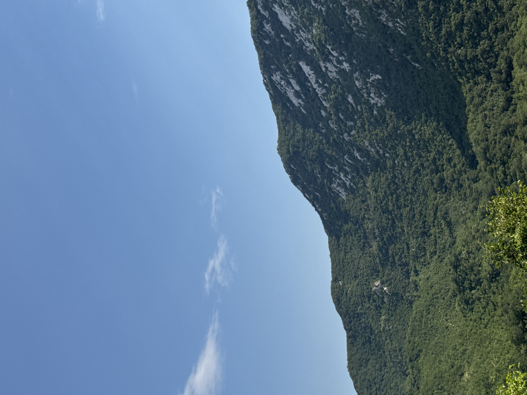 The image depicts a panoramic view of a densely forested mountain slope under a clear blue sky with a few wispy clouds. The mountain is covered in lush green trees, with some patches of exposed gray rock visible, particularly on the upper slopes. The foreground shows the tops of trees and foliage, suggesting the viewpoint is elevated, looking across or up at the mountain. The scene is natural and undeveloped, indicative of a mountainous region. The location is identified as being in the vicinity of Dragalj, Montenegro, a region known for its mountainous terrain and natural beauty. There are no people or artificial structures clearly visible in the image. The lighting suggests it is daytime, with the sun illuminating the mountain.