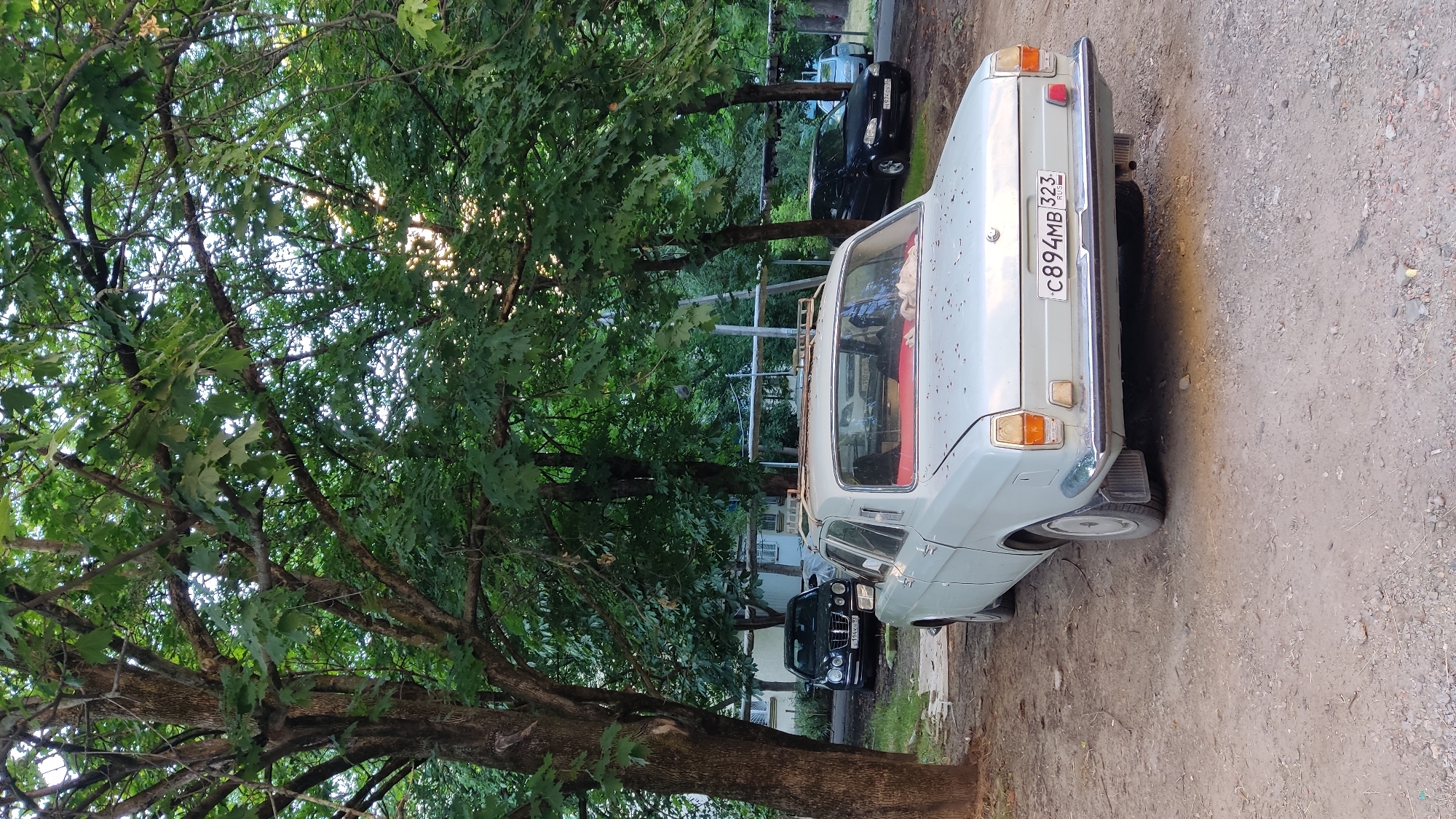 A light-colored sedan is parked on a gravel lot under a canopy of green trees. The car is facing away from the viewer and is slightly angled to the right. It has a visible license plate on the rear with the text "C894MB 323 RUS". The car appears to be old and has some wear and tear, with small dark spots visible on its exterior. Red fabric is visible through the rear window. Two other vehicles are parked behind the sedan, one is black and partially visible. The scene appears to be outdoors in a somewhat overgrown area, possibly a residential neighborhood given the presence of trees and buildings in the background. The lighting suggests it is daytime, possibly late afternoon with sunlight filtering through the leaves. The overall impression is of a quiet, everyday scene in Krasnodar, Russia.