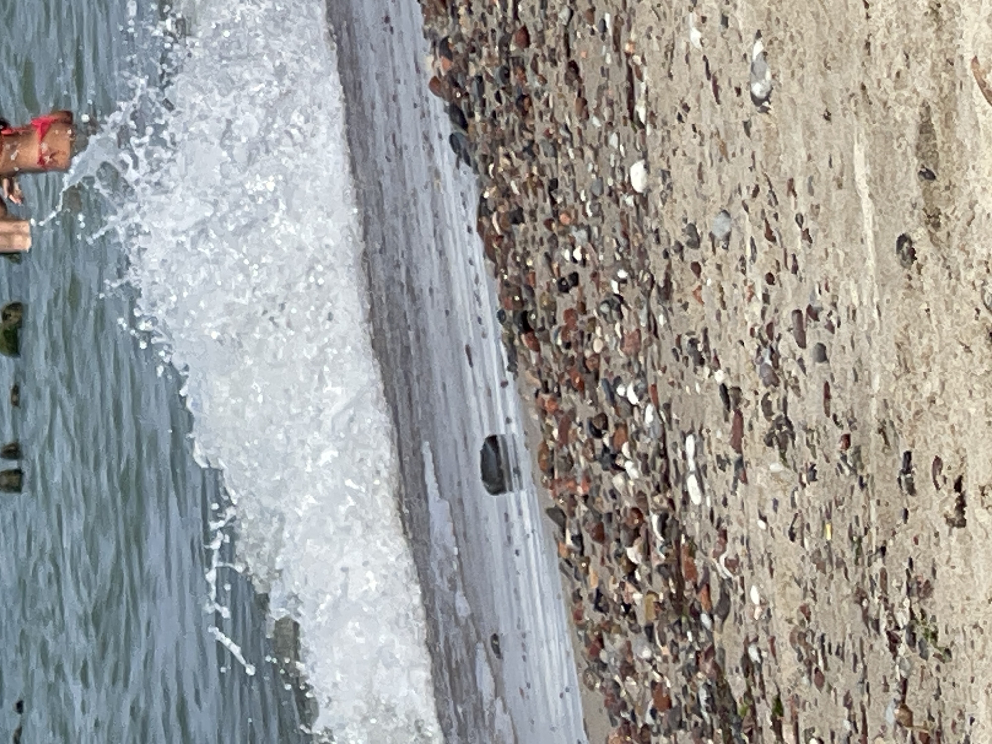 The image shows a beach scene with a wave crashing on the shore. The water is blue and choppy, and the sand is covered with pebbles and shells. In the background, a person wearing a red bikini is partially submerged in the water, with a wave breaking over them. The scene appears to be a typical summer day at a coastal location. This image may have been taken at the beach in Zelenogradsk, Russia, a resort town on the Baltic Sea.