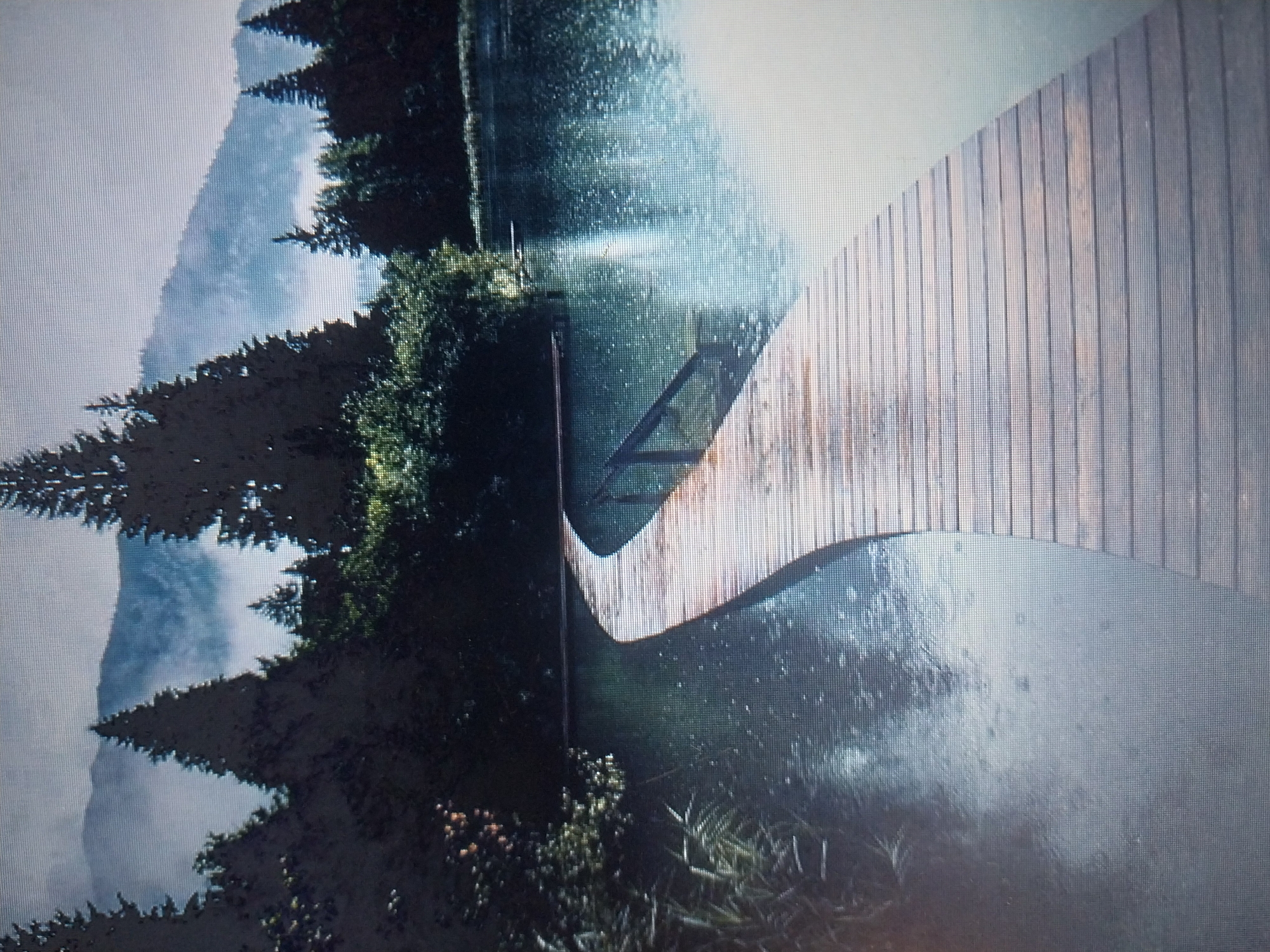 The image depicts a serene natural landscape with a wooden walkway curving over a body of water. In the foreground, the walkway, constructed from light-colored wooden planks, extends into the frame from the right and curves to the left, disappearing into the distance. The planks are laid horizontally, and the walkway appears wet, possibly from rain, as indicated by ripples on the water's surface.
To the left of the walkway, tall, reedy grass grows along the water's edge. The water itself is calm and reflective, mirroring the surrounding environment. Small circles on the water's surface suggest raindrops.
In the background, dense evergreen trees form a dark, silhouetted line, with some trees appearing closer and more detailed than others. Beyond the trees, a mist-shrouded mountain range rises, with the peaks faintly visible through the haze. The sky is overcast, contributing to the moody and tranquil atmosphere. The overall impression is one of a peaceful, natural setting, possibly in a mountainous or forested region.