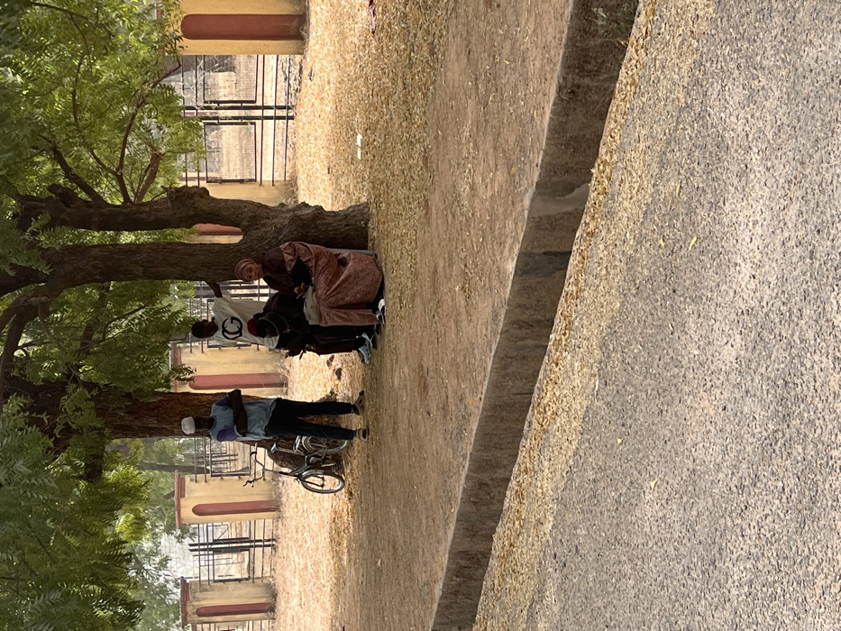 The image depicts a roadside scene in Kanti, Nigeria. Five individuals are gathered under the shade of two trees on a dirt patch adjacent to a paved road.
From left to right:
* A male figure stands with arms crossed, wearing a light blue long-sleeved shirt, dark trousers, white sandals, and a white skullcap. A dark bicycle is parked behind him, leaning against the tree trunk.
* Behind him, partially obscured by the tree, another male figure in a white t-shirt with a "CG" logo and dark trousers stands.
* Next to the tree, a male figure is seated on the ground, wearing a dark shirt, dark trousers, and a red and black cap. He appears to be looking down at a mobile device held in his hands.
* To his right, a female figure is seated, wearing a patterned reddish-brown long dress (hijab) and a light brown head covering. She holds a small dark object in her lap.
* A fifth person, a child, is visible between the seated male and female, partially obscured.
The ground under the trees is dirt, covered with numerous dried leaves. Behind the individuals, there is a low concrete and metal fence with light-colored pillars. In the foreground, a paved road is visible, separated from the dirt patch by a concrete curb and a narrow, open ditch. The lighting suggests a sunny day, with dappled shade cast by the trees.