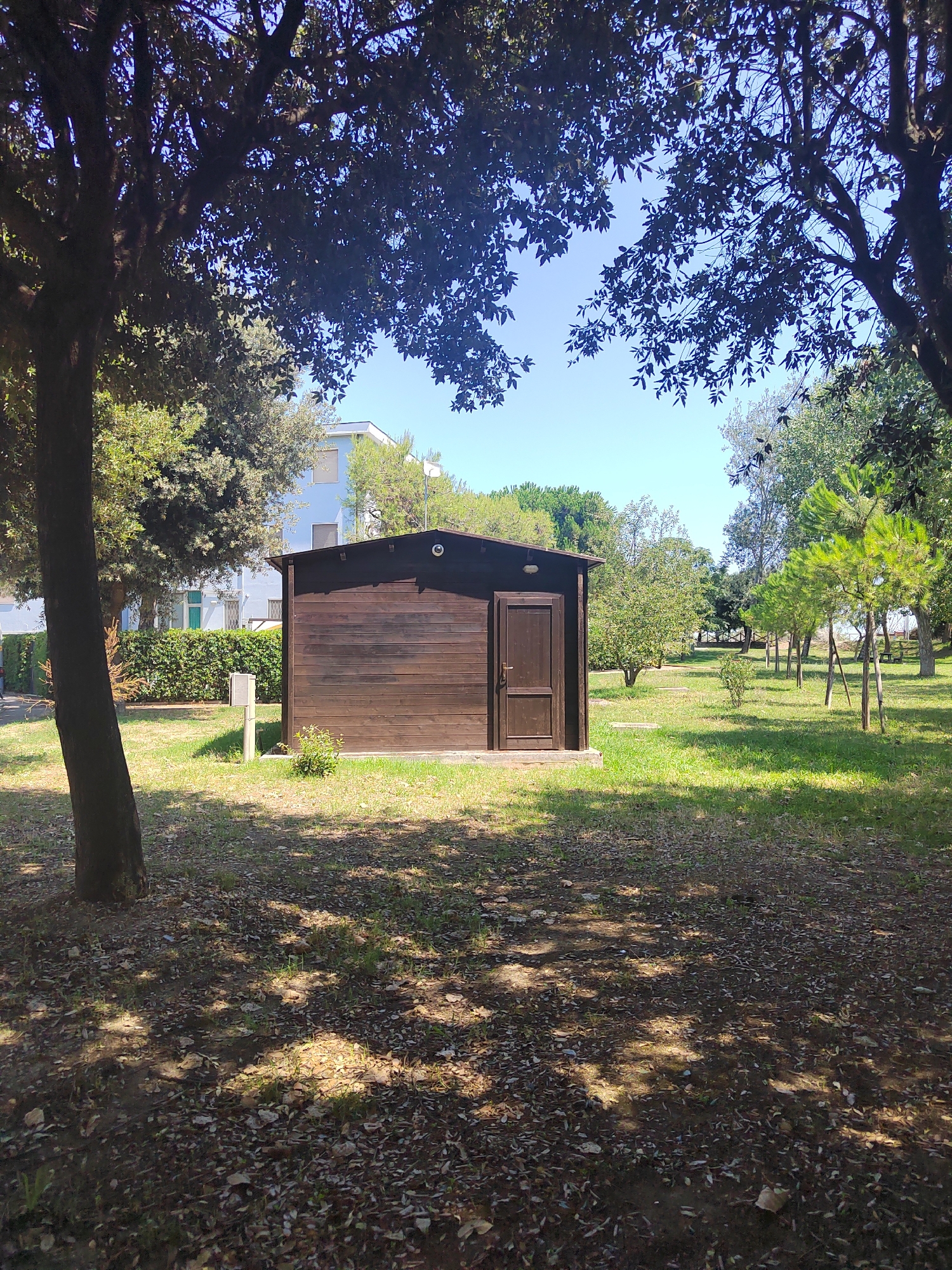 The image captures a sun-drenched outdoor scene, likely within a park or garden setting in Porto Recanati, Italy. In the foreground, a small, dark wooden shed with a single door stands on a grassy area littered with fallen leaves. The shed's wooden planks are horizontally oriented, and a light-colored handle is visible on the door. To the left of the shed, a thick tree trunk and its branches with dark green foliage dominate the left side of the frame, casting dappled shadows on the ground. Behind the shed, a neatly trimmed green hedge separates the immediate area from a light blue building with visible windows. The background reveals a spread of green grass dotted with young trees, some supported by wooden stakes, and mature trees. The sky is clear and a bright blue, suggesting fair weather. The overall impression is one of a tranquil, possibly recreational space.