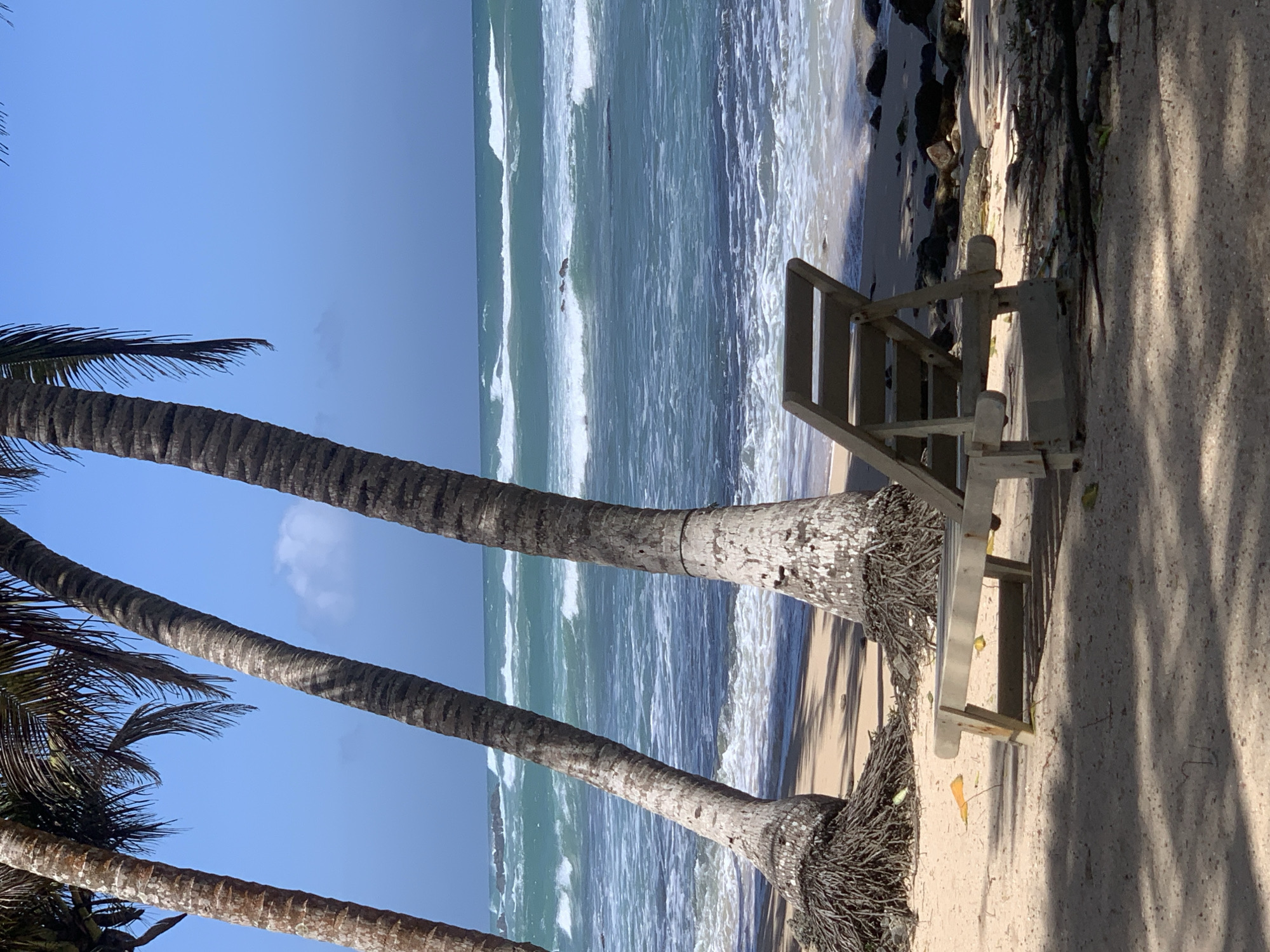 In Midigama, Sri Lanka, a wooden lounge chair rests on a sandy beach, casting a shadow. Behind it, the turquoise ocean meets the shore with rolling waves, and in the background, three palm trees stand tall against a clear blue sky.