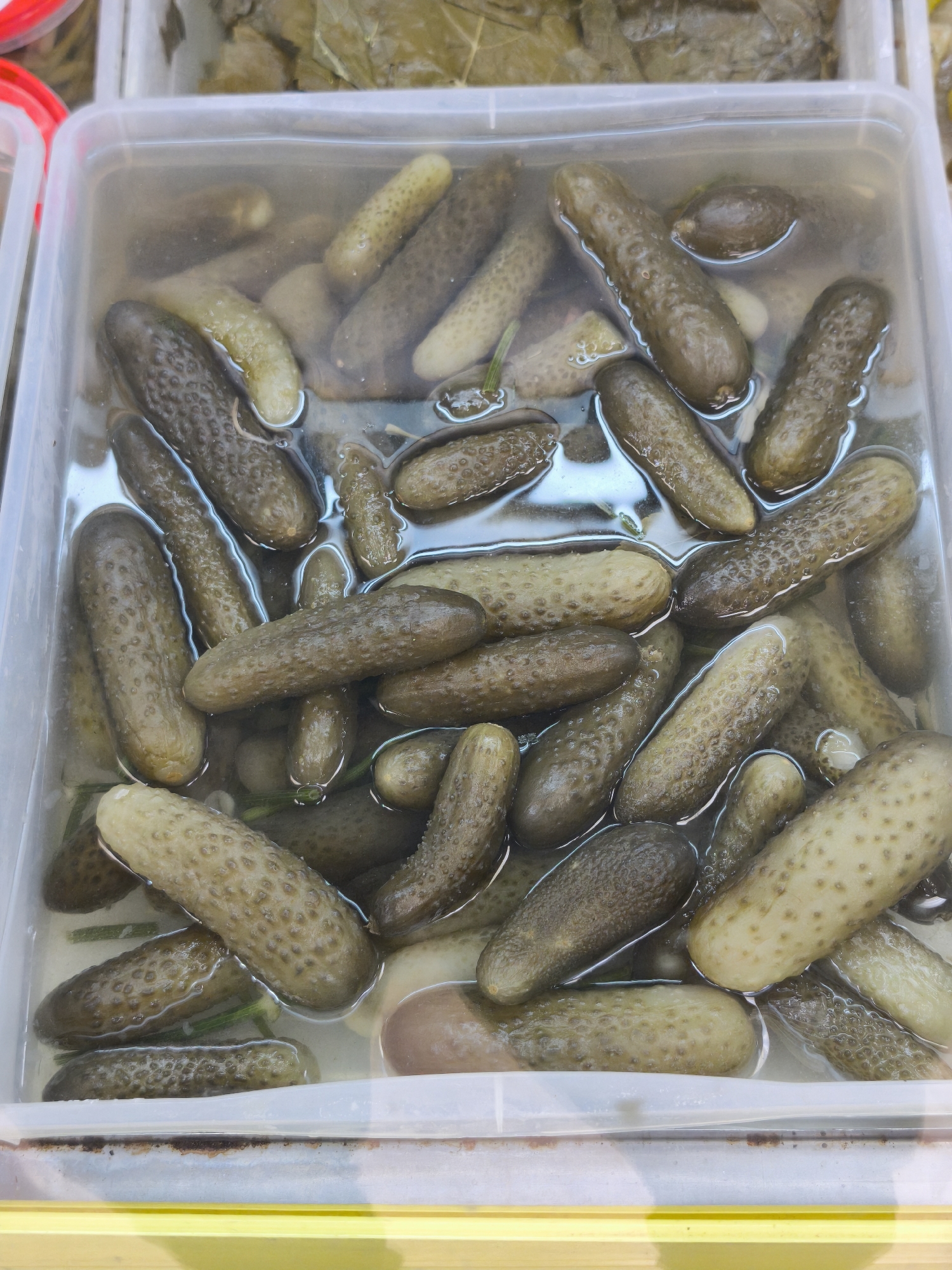 This is a close-up, eye-level, indoor shot of a clear plastic container filled with pickled cucumbers in brine. The container is brimming with the pickles, which are submerged in a cloudy liquid. The pickles vary in size and shade of green, with some appearing lighter and others darker, and some exhibiting a bumpy texture. A few sprigs of dill are visible amongst the cucumbers. The container is placed on a surface, with a hint of another container and some greenery visible in the background, suggesting a market or food stall. No people are visible. The scene appears to be a still life, focused on the presentation of the pickled goods. The exact location in Yoshkar-Ola, Russia, is not determinable from the image alone.