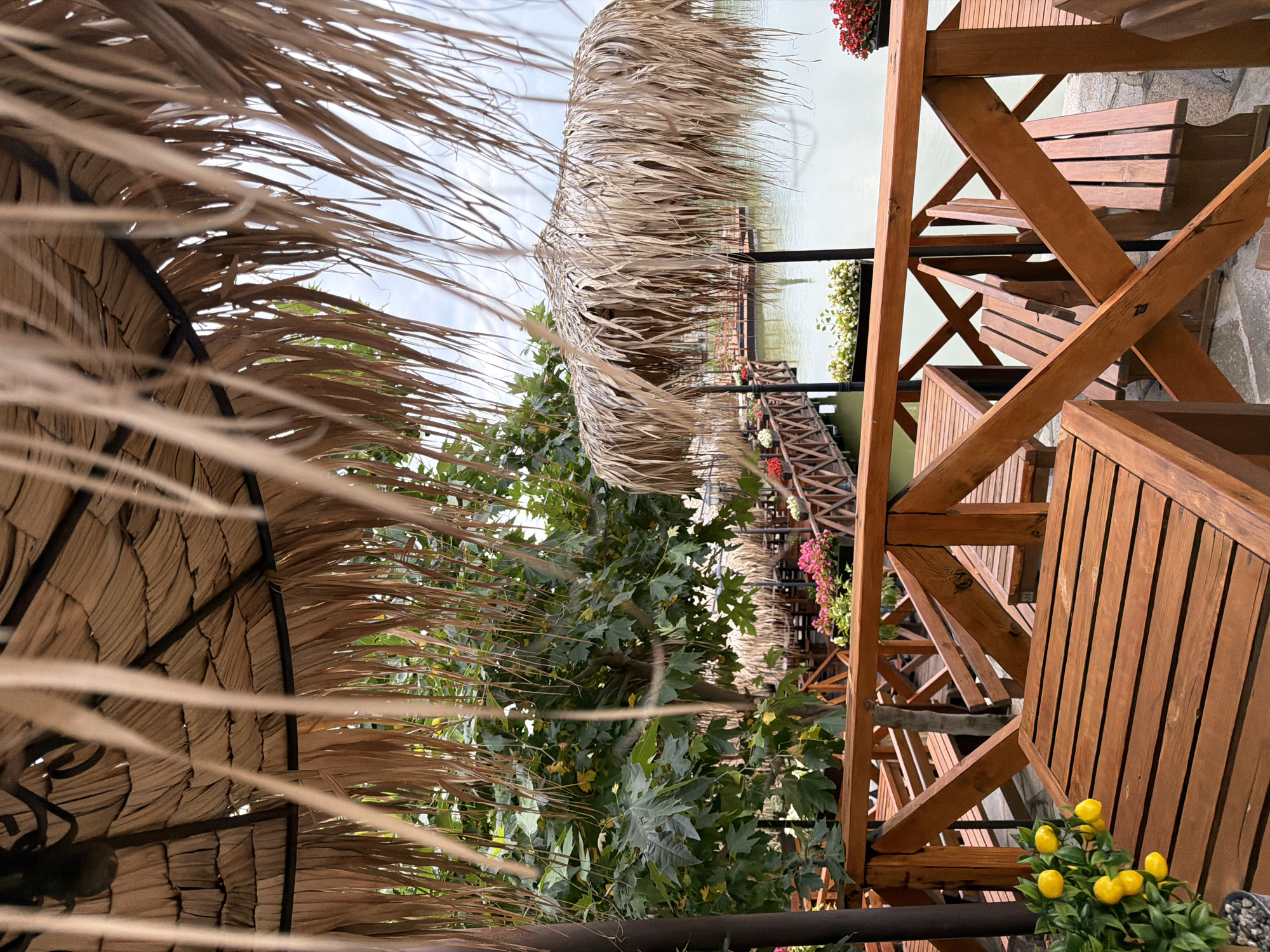 The image depicts an outdoor seating area of a restaurant or cafe situated in Gorna Malina, Bulgaria. The scene is characterized by a rustic aesthetic, with extensive use of natural materials. In the foreground, there are wooden tables and benches, with one table in sharp focus. The seating is arranged around a wooden railing. Beyond the railing, a wooden walkway or pier extends over a body of water. This walkway is lined with potted plants, some bearing red and pink flowers, and features thatched roof coverings over some sections, suggesting individual seating or dining areas. Large green trees with broad leaves are visible behind the walkway, and further in the distance, more thatched structures are present. The sky is overcast, contributing to a muted light. There are no people visible in the frame. The overall impression is one of a serene, natural setting designed for outdoor relaxation and dining.