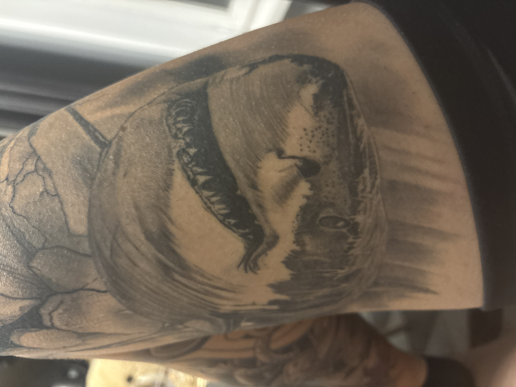 A close-up, over-the-shoulder shot shows a portion of a person's tattooed arm, featuring a detailed black and grey tattoo of a shark's head emerging from dark water. The shark's mouth is open, revealing sharp teeth, and its eye is visible. The tattoo occupies a significant portion of the visible skin. The background is blurred, with hints of what might be indoor lighting and possibly furniture. The location is not specified, as it is unknown.