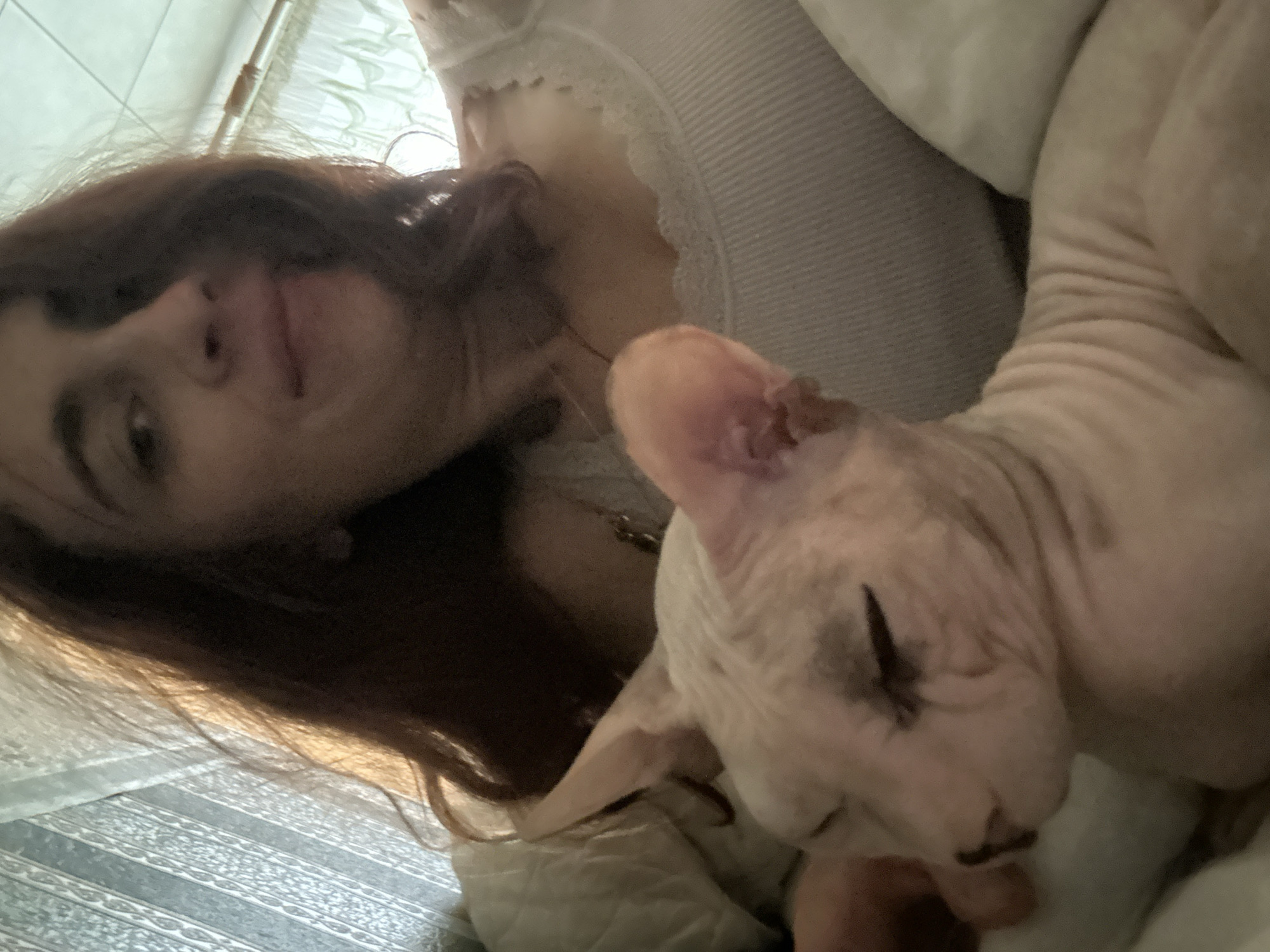 The image depicts a close-up of a woman and a Sphynx cat indoors. The woman has long, dark hair and is wearing a white top with lace trim. She is smiling slightly and looking towards the camera. The Sphynx cat is light-skinned and has its eyes closed, appearing to be resting or sleeping. The cat is positioned in the foreground, with its head and upper body visible. The background shows a bed with white pillows and a grey textured surface. The lighting suggests an indoor setting, possibly a bedroom. There is no visible indication of the city of Togliatti, Russia, or any specific location within it. The overall scene appears intimate and casual, suggesting a moment of relaxation between the woman and her pet.