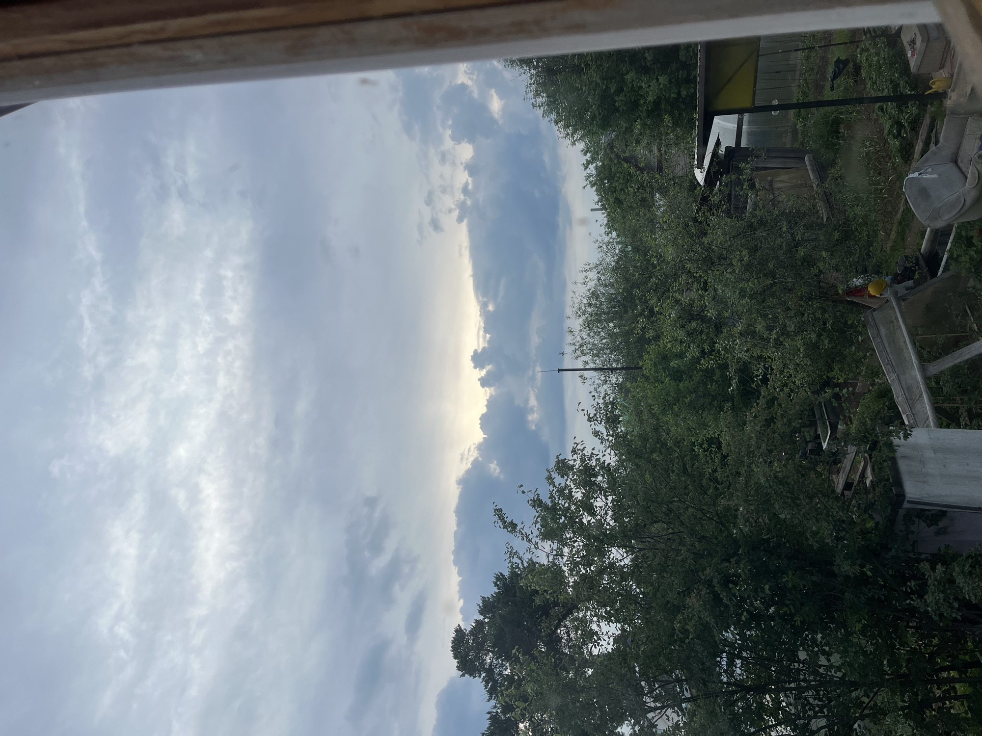 The image presents a view looking out from a window or opening, framed by a wooden sill at the top. The scene depicts an outdoor landscape dominated by a cloudy sky and dense vegetation.
The upper portion of the frame is filled with a vast, dynamic sky. Light grey and darker blue-grey clouds stretch across, with a distinct bright area on the left side, indicating the sun partially breaking through the cloud cover. This suggests the time of day is either late afternoon or early evening, with the sun positioned relatively low on the horizon.
Below the sky, a line of lush green trees and bushes forms the horizon, extending across the mid-ground. The right side of the lower frame is densely packed with more green foliage, suggesting an overgrown garden, backyard, or rural area in Chaikovsky, Russia. Within this greenery, various objects and structures are visible. A greenhouse-like structure with a bright yellow top and transparent sides can be seen towards the upper right. Nearby, a tall, slender black pole stands vertically. Further to the right, amidst the vegetation and general clutter, a light-colored object, possibly a tarp or outdoor furniture, is visible.
The overall impression is a somewhat rustic and verdant outdoor space, observed from a sheltered interior, under a sky hinting at changing weather. There are no people visible, nor any discernible text.