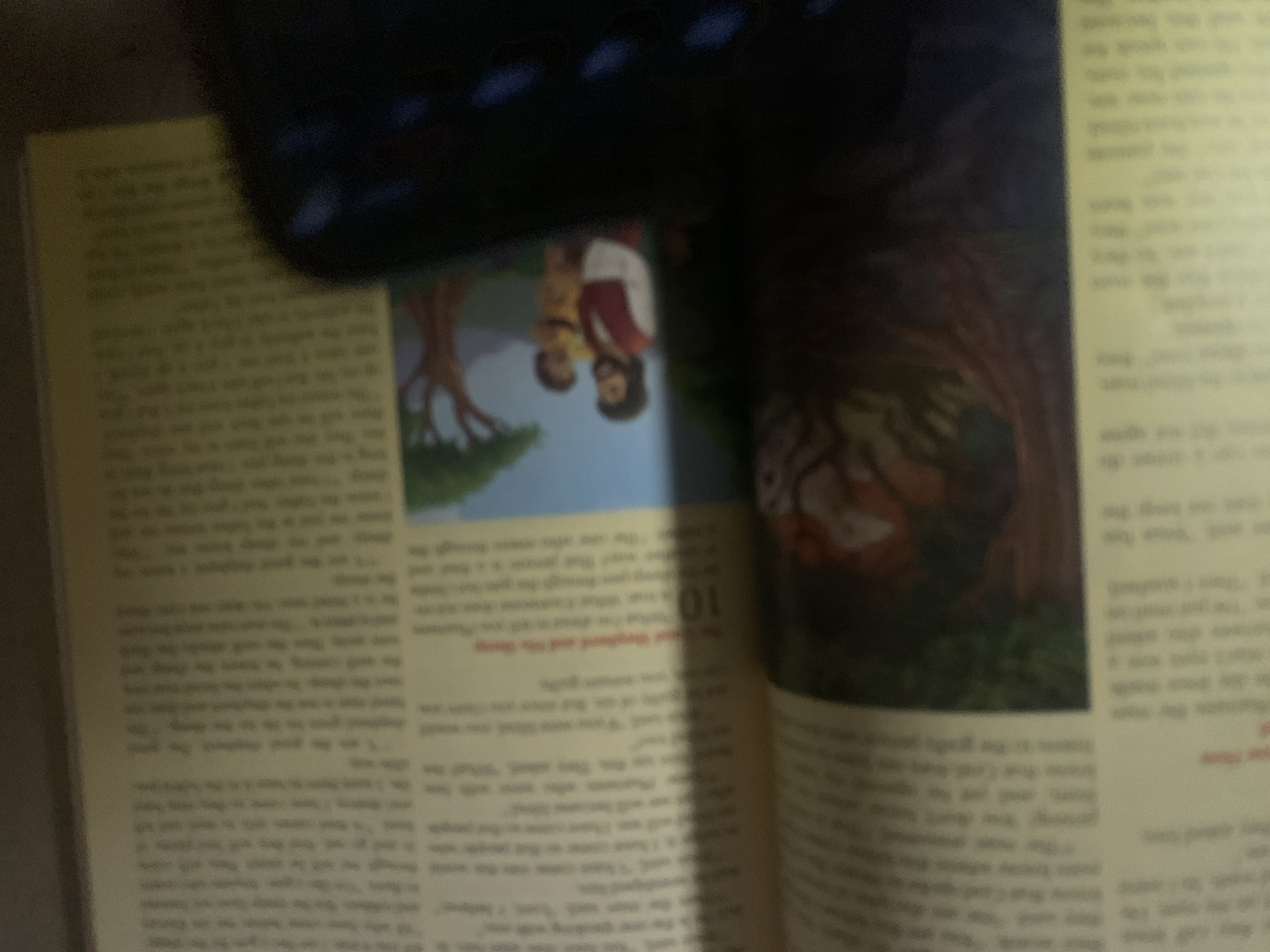The image displays an open book with text and illustrations. The text appears to be in a light-colored font on a cream-colored background. The illustrations include a drawing of a man carrying a child under a tree, and another illustration that appears to be of a tiger. The book is placed on a flat surface, and a dark object, possibly a phone, is partially obscuring the right side of the image. The lighting suggests an indoor setting. There is no identifiable information within the image that specifies the location as Jauro Yinu, Nigeria.