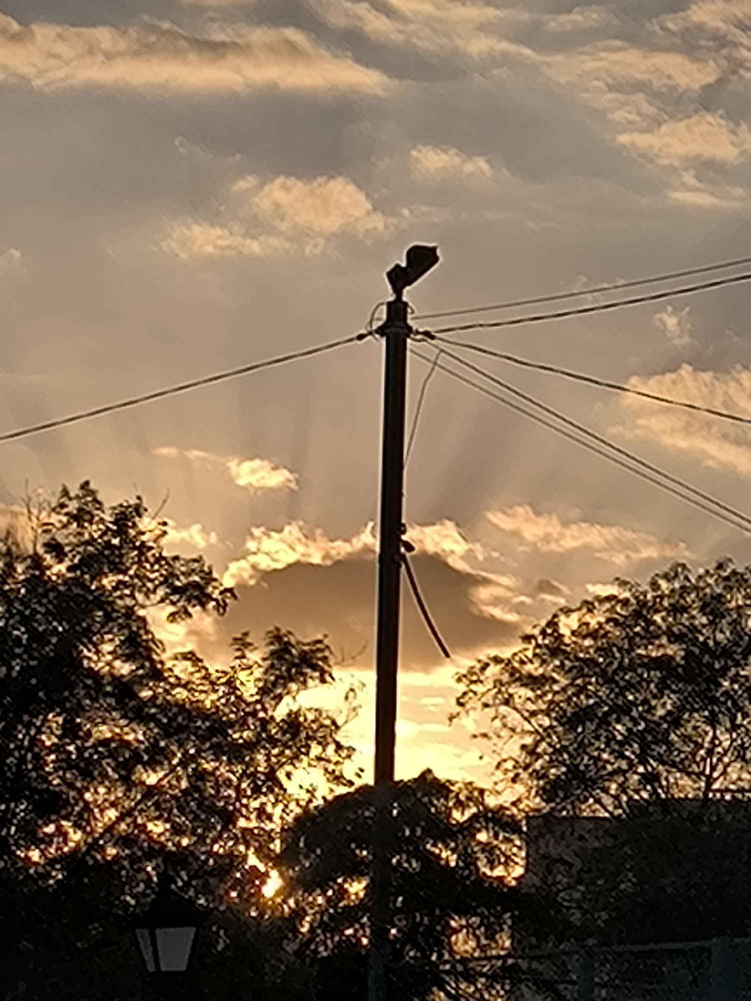 The image depicts a sunset scene with a pole and wires in the foreground, silhouetted against a sky filled with dramatic clouds and rays of light. Trees with foliage are visible on either side of the pole, with the sun's rays filtering through them. In the lower left corner, a lamppost can be seen. The overall impression is one of a serene, yet possibly overcast, evening. There are no people or animals visible in the frame. The location is stated to be in Mykolaiv, Ukraine, though there are no specific landmarks to confirm this.