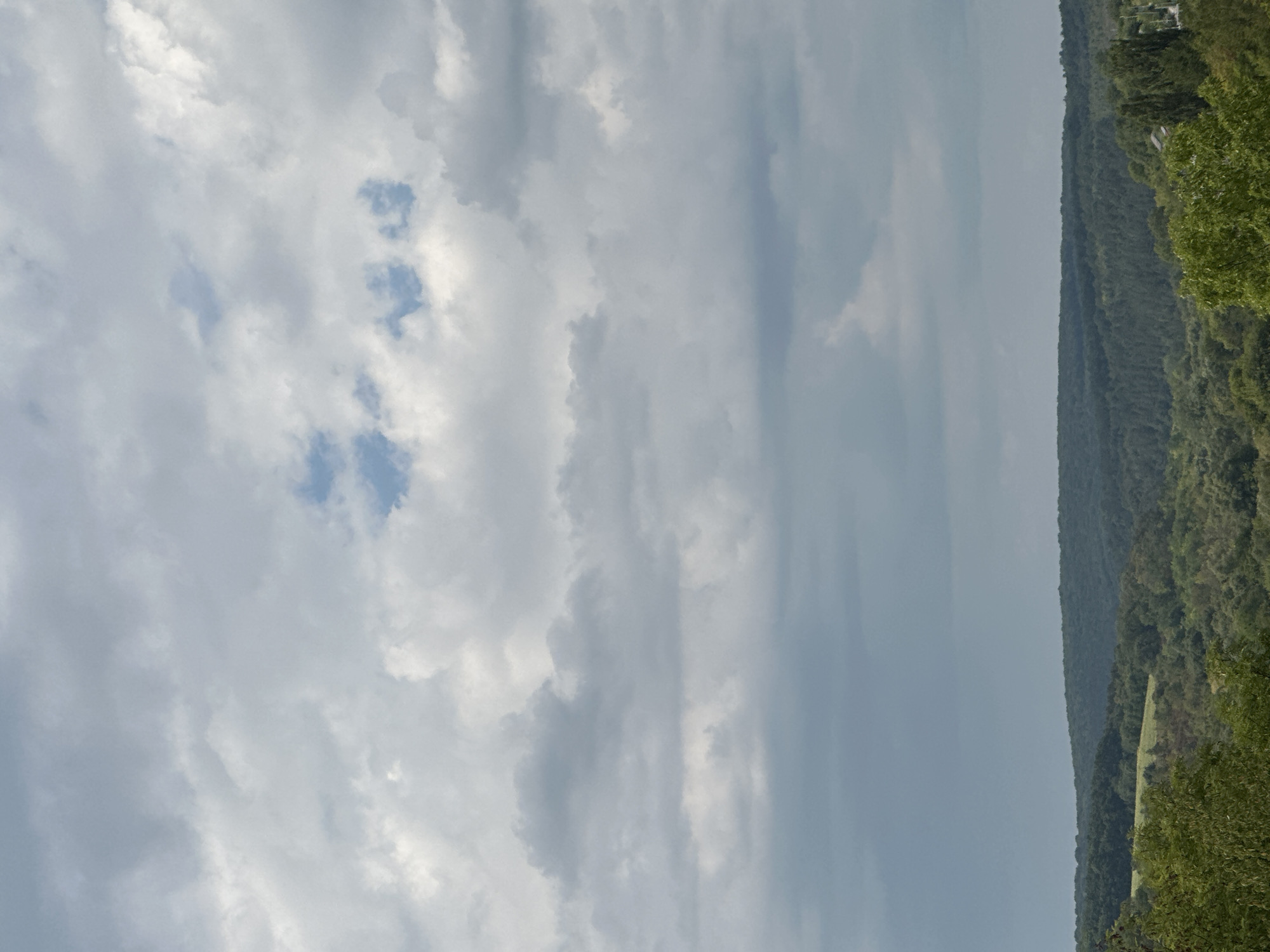 The image depicts a vast, rolling landscape under a cloudy sky. The foreground features lush green trees and foliage, with the middle ground dominated by dense, dark green forests covering undulating hills. A patch of lighter green, possibly a field or meadow, is visible nestled among the trees on the left side of the middle ground. In the distance, the hills recede, appearing as dark silhouettes against the slightly lighter, hazy sky. The sky itself is filled with a mosaic of grey and white clouds, with intermittent patches of pale blue sky peeking through. The overall impression is of a rural, natural environment with a somewhat overcast atmosphere. The image does not contain any people or specific urban elements that would indicate a precise location within Makiv, Ukraine, beyond it being a generally verdant and hilly area.