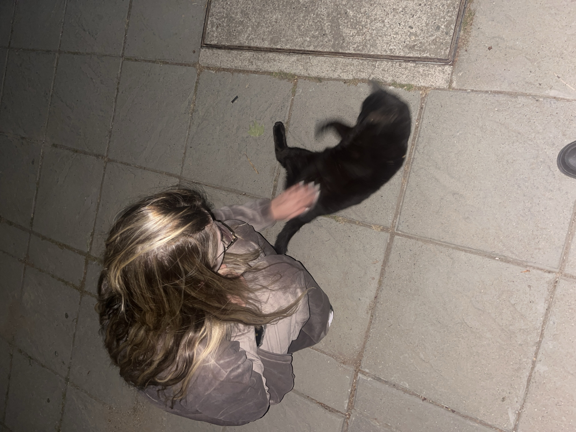 A high-angle shot depicts a woman petting a black cat on a stone-tiled surface. The woman has long, wavy brown and blonde hair and is wearing glasses and a gray outfit. Her right hand is touching the cat's back. The cat appears to be moving, with its tail curled up. A concrete structure with a metal frame is visible in the upper center of the image. The setting appears to be an outdoor urban environment. The city of Blagoevgrad, Bulgaria is not identifiable based on visual elements alone.