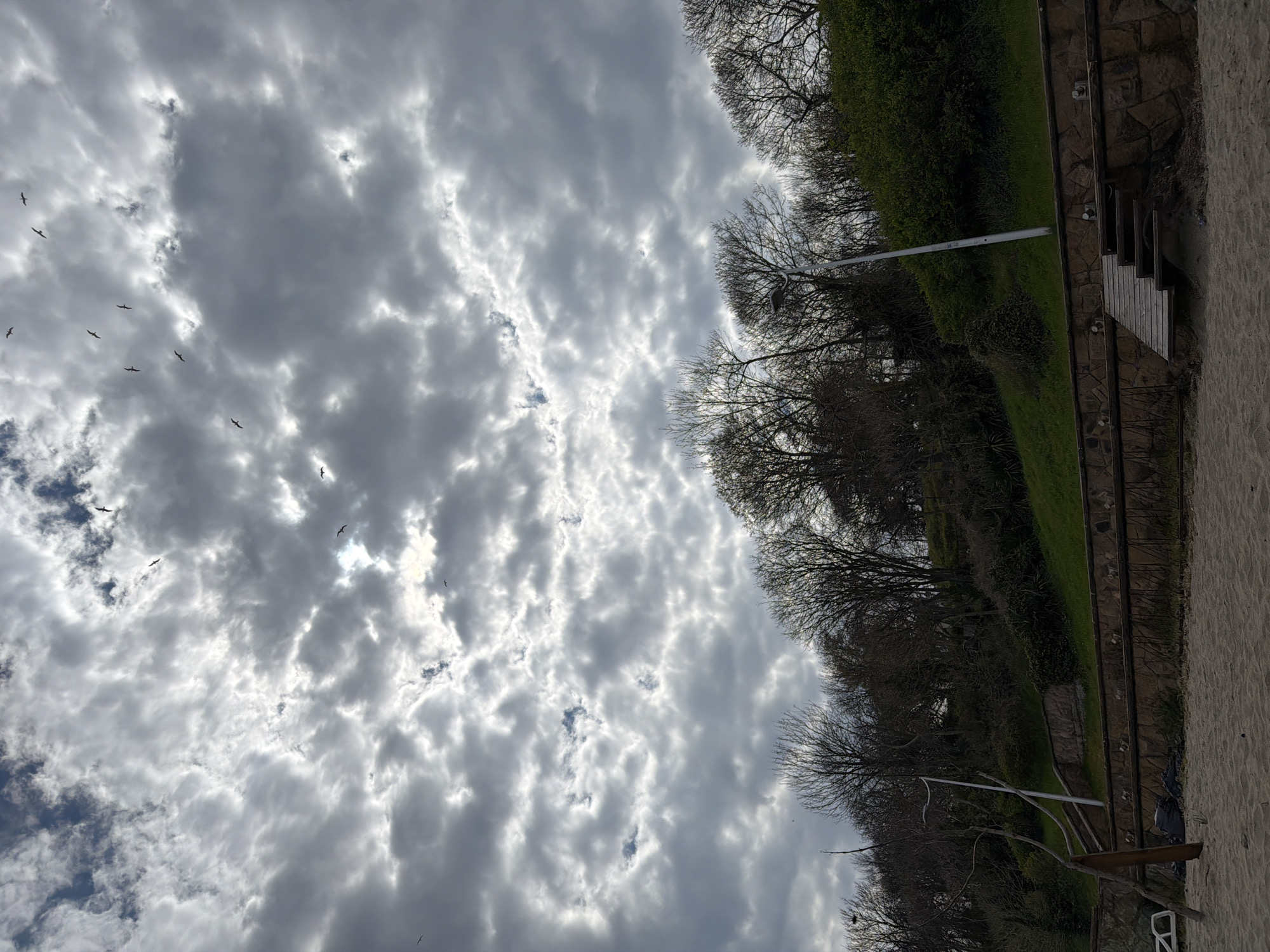 The image presents a view of the sky filled with a dramatic display of altocumulus clouds. Some birds are visible flying in the sky.
The scene includes the edge of a landscape with trees, a green bank, stone, stairs, and sand.
The location is likely near a beach and a park in Burgas, Bulgaria.