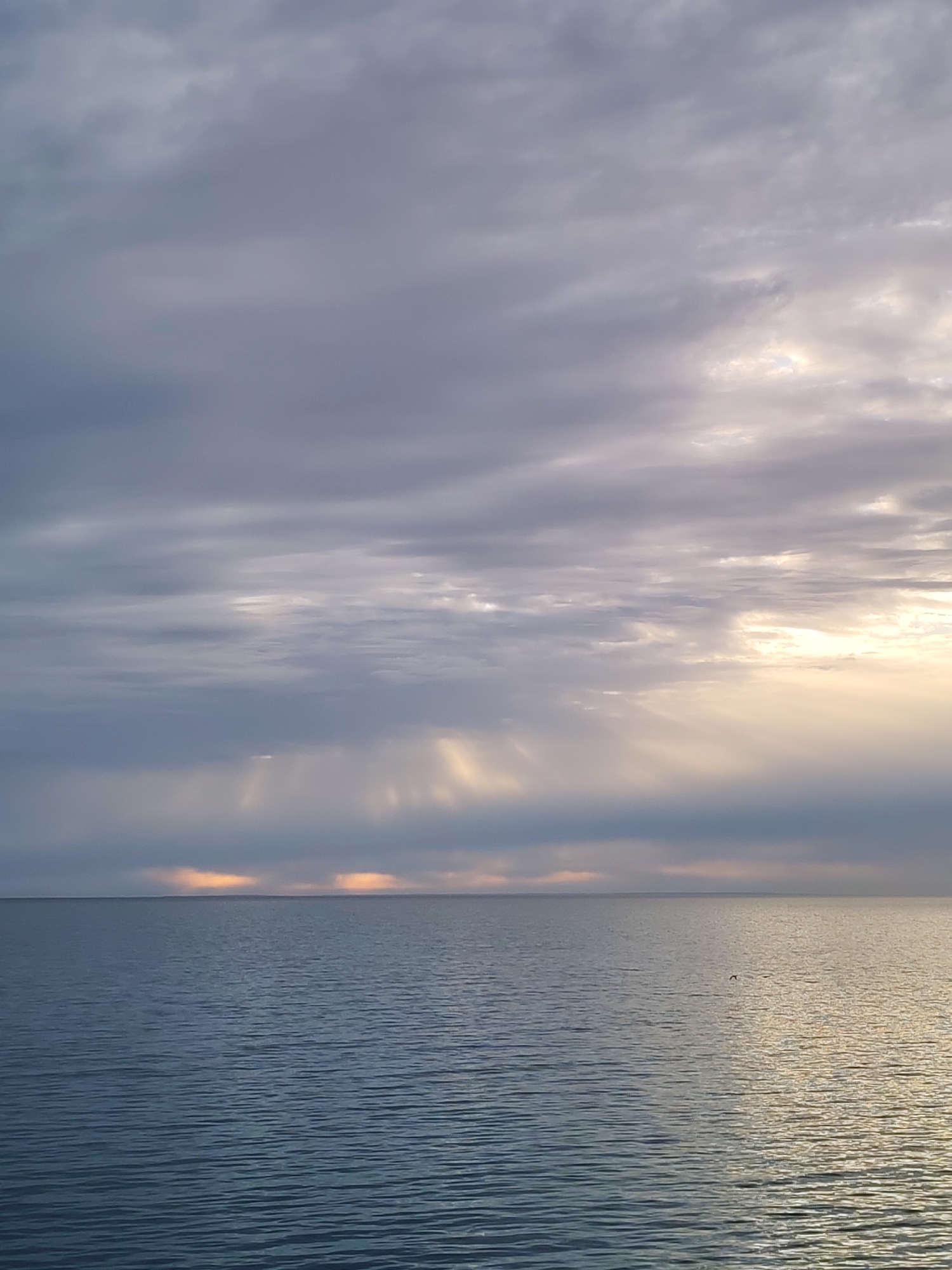 The image depicts a seascape under a cloudy sky. The water is calm, with gentle ripples across the surface. The sky is mostly covered with grey clouds, but there are breaks in the clouds near the horizon on the right side, allowing sunlight to stream through. This creates shafts of light that illuminate the water in patches. A sliver of orange is visible along the horizon on the left. A small bird is flying over the water in the center. The location is Shcheleiki, Russia.