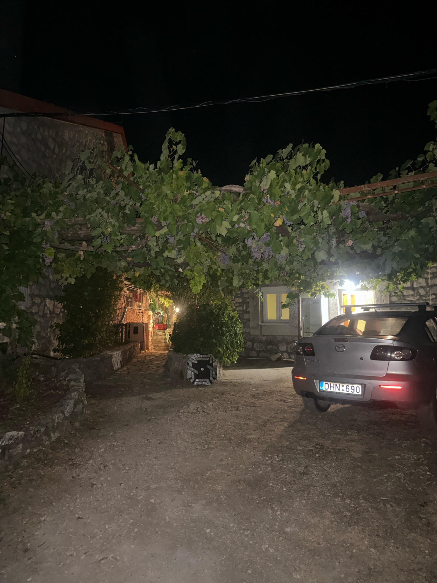 The image depicts a nighttime view of a courtyard or pathway in Cetinje, Montenegro. A gray Mazda sedan is parked on the right side of the frame, its license plate reading "DHN:690." The vehicle is illuminated by external lights, and its brake lights are activated.
The courtyard is paved with gravel and is bordered by stone walls. Overhead, a canopy of grapevines with green leaves and purple grapes is present. Behind the car, a building with stone walls and lit windows is visible. To the left of the car and extending into the background, another stone structure with an arched entrance is partially obscured by vegetation. Further back, a pathway leads up to a building with a balcony, also lit. The scene suggests a residential or a rural setting at night.