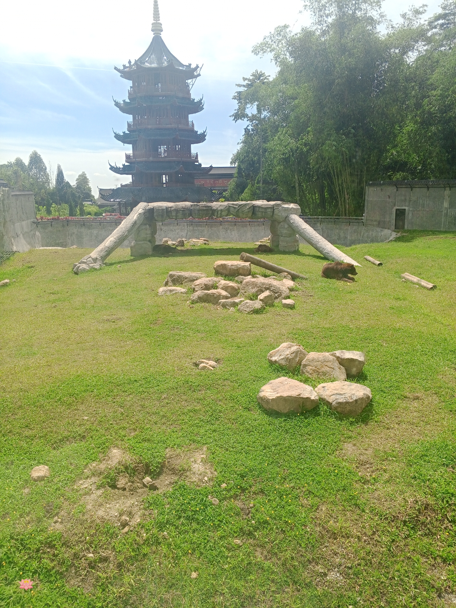 In the city of Suka Makmur, Indonesia, a zoo enclosure features a large, grassy area with several large rocks scattered throughout. A fallen tree trunk lies on its side, serving as a natural ramp or obstacle. In the background, a multi-tiered pagoda-style building with dark, ornate roofing stands prominently against a blue sky with scattered clouds. Dense bamboo trees and other greenery flank the pagoda. The enclosure appears to be designed with a naturalistic aesthetic, with concrete walls forming the perimeter and stylized rock formations at the entrance. There are two animals visible in the enclosure: one is a small, dark-colored mammal lying down on the grass, and the other is a brown bear resting near a fallen log. A small, pink flower is visible in the foreground.