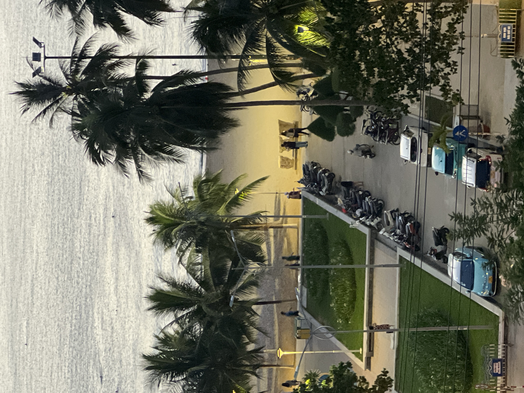 This image, captured from an elevated perspective, depicts a coastal scene in Nha Trang, Vietnam, likely during the late afternoon or early evening as indicated by the soft lighting. The foreground features a street lined with parked motorcycles and cars, with a teal-colored hatchback prominently visible. Beyond the street, a paved walkway runs alongside a grassy area. In the mid-ground, a sandy beach meets the calm ocean, with a few distant figures appearing to be in the water or on the shore. Palm trees are scattered throughout the scene, some casting shadows on the beach and walkway. Lampposts are present along the walkway, suggesting it is a public area. A few people are visible walking along the walkway and near the beach. The overall atmosphere is serene and suggestive of a recreational area in a coastal city.
