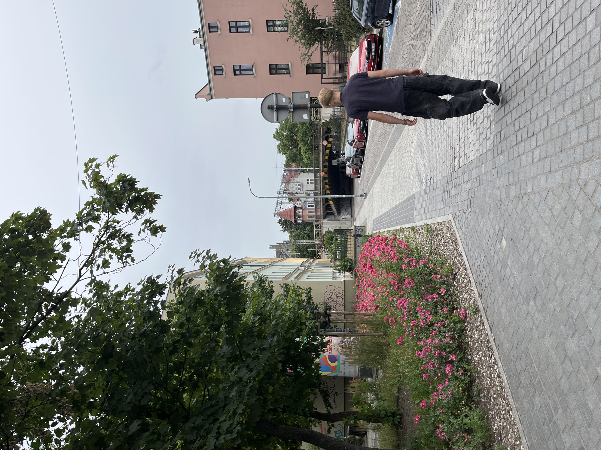 A man with blonde hair walks away from the camera on a cobblestone sidewalk in Gdańsk, Poland. He is wearing a dark blue t-shirt, dark baggy pants, and sneakers. To his left, a row of pink flowers borders a grassy area. Beyond the flowers, a light-colored building with green trim and graffiti can be seen. A large tree with green leaves stands to the far left of the image. Across the street, there are several cars parked, including a red Skoda and a dark blue sedan. In the background, an overpass with yellow and black markings spans across the road. A pink building with several windows is visible on the right side of the frame. The sky is overcast and grey.