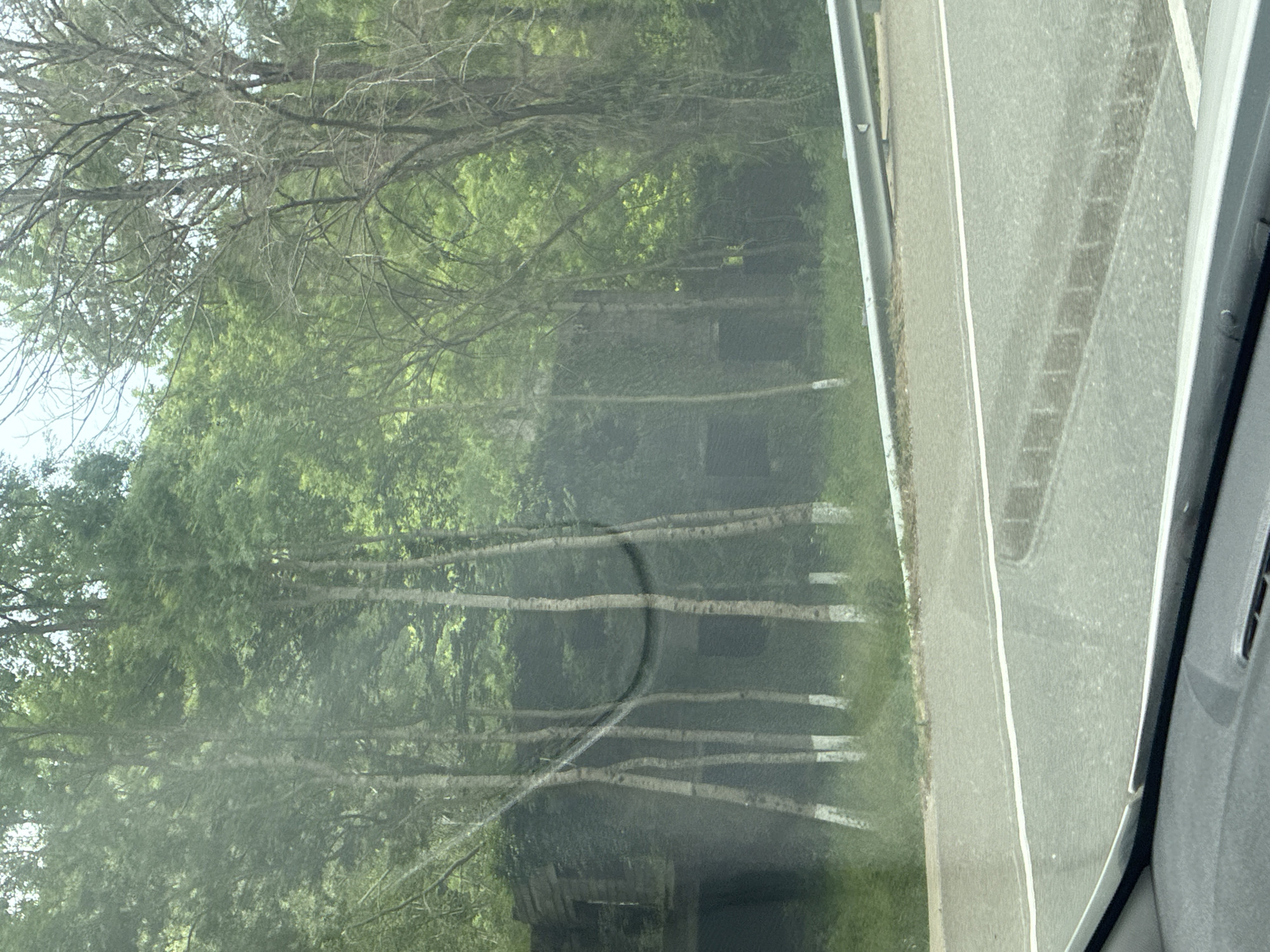 The image captures a view from a vehicle, looking through the windshield at a wooded area adjacent to a road. Several slender trees with white-painted bases are prominently visible in the foreground. Behind these trees, a dark, weathered structure, possibly an old building or ruin, is partially obscured by the foliage. The surrounding environment is densely green with trees and undergrowth, suggesting a natural, possibly rural or forested setting. A guardrail runs along the side of the road, with the paved surface of the road visible in the lower portion of the frame. The overall impression is one of a somewhat overgrown and possibly abandoned area alongside a route. The location is identified as Arkhipo-Osipovka, Russia.