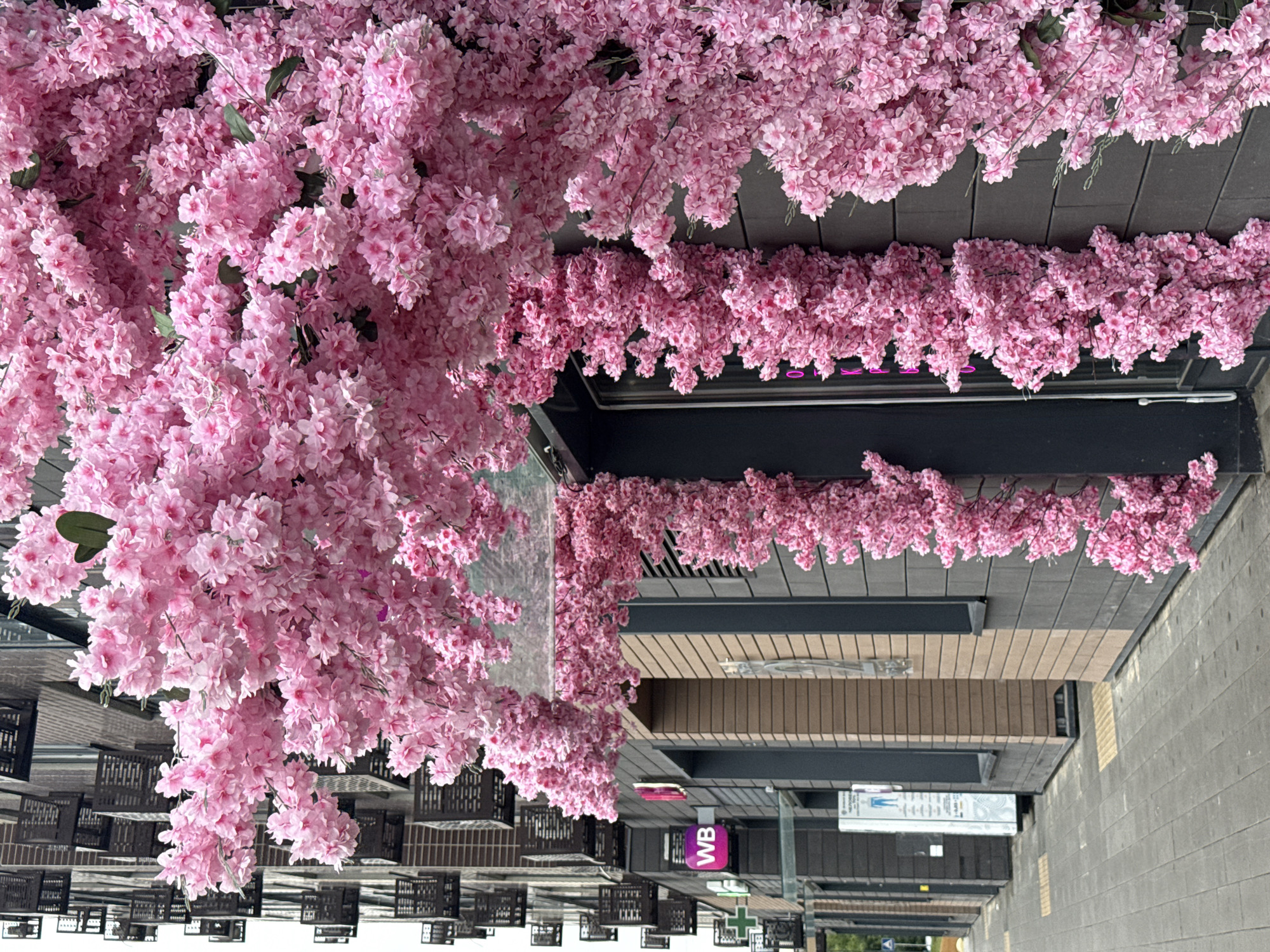 The image captures an outdoor scene in the city of Lyubertsy, Russia, featuring a storefront adorned with artificial pink cherry blossoms. The blossoms cascade down the dark grey facade of the building and form an archway over an entrance. A sidewalk with textured paving stones runs in front of the building, and a multi-story residential building with numerous dark balconies is visible to the left. A sign with the letters "WB" in a gradient of purple and pink is mounted on the building. The lighting suggests it is daytime, with a slightly overcast sky. No people are visible in the frame.