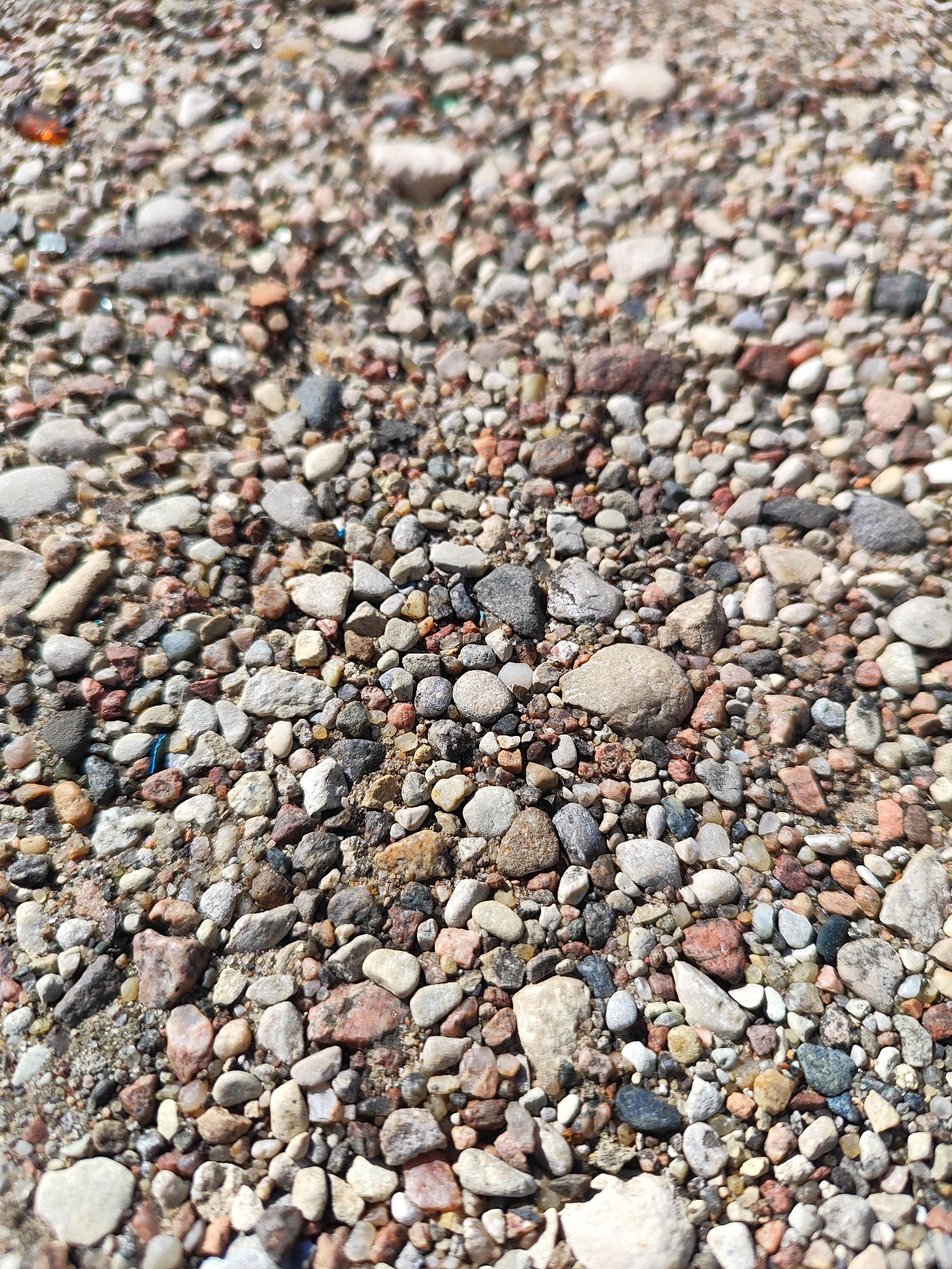 The image is a close-up, overhead view of a surface covered with small stones and gravel. The stones vary in color, including shades of grey, brown, white, and red, and are of different sizes and shapes, mostly rounded or irregular. The ground is mostly composed of these small rocks with some sand visible. There are no people, animals, or man-made structures in the frame. The lighting suggests it is daytime with sunlight casting shadows. The texture of the ground is rough and uneven. The setting appears to be an outdoor area, possibly a pathway, driveway, or unpaved ground. There is no specific identifiable landmark or context to pinpoint a location within the city of Hrodna, Belarus.