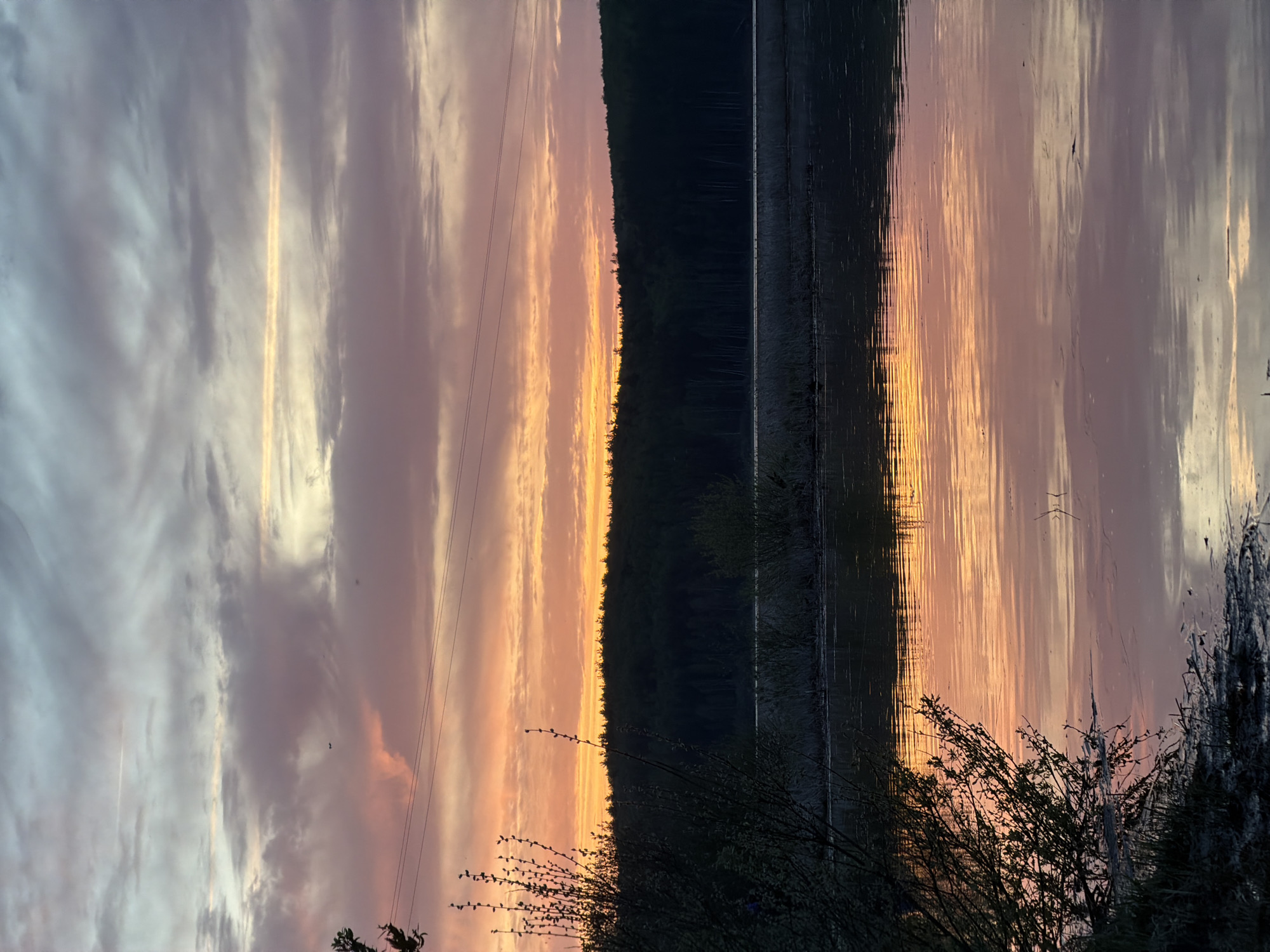 The image depicts a landscape scene at sunset. It's taken at the city of Chaykovsky in Russia, though this cannot be confirmed visually. In the center of the image is a dark tree line. To the left, the sky is filled with a colorful sunset, dominated by shades of purple and orange. The same colors and cloud formations are mirrored in the water on the right side of the image, indicating a lake or river. Some bushes are visible in the foreground on the right. Powerlines are also visible, reaching across the sunset.