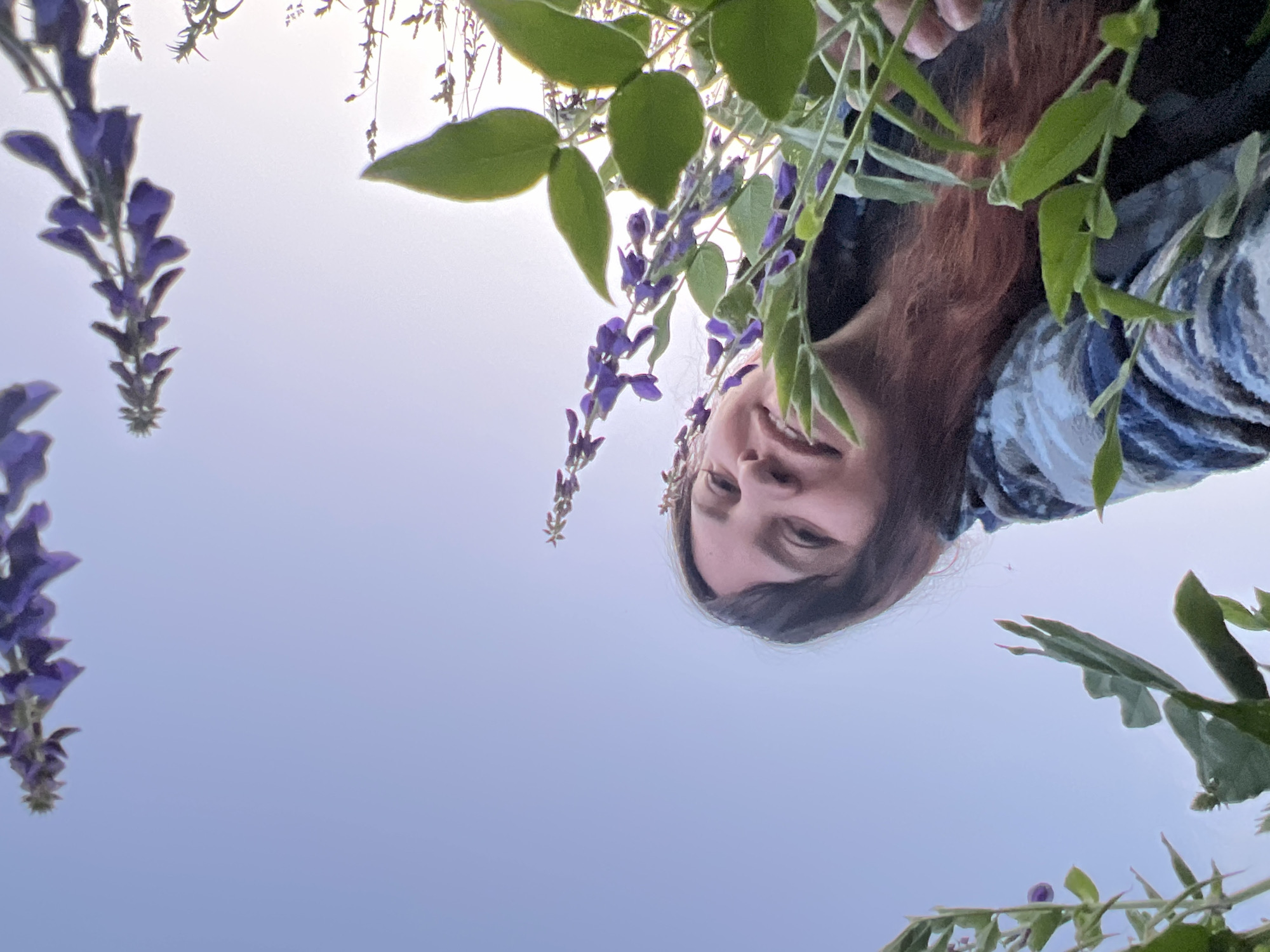 An overhead, low-angle shot captures a person from the chest up, smiling as they look directly at the camera, surrounded by greenery and purple flowers against a clear blue sky at dusk. The person has long, dark brown hair and wears a blue and white plaid jacket. Their right arm is visible, extended toward the viewer, with a hand near the bottom of the frame, appearing to hold a flower or plant. The surrounding foliage consists of broad green leaves and tall stalks with clusters of small purple flowers. The sky is a pale blue, transitioning to a lighter hue towards the horizon, suggesting a clear evening in Panteleevka, Russia.
