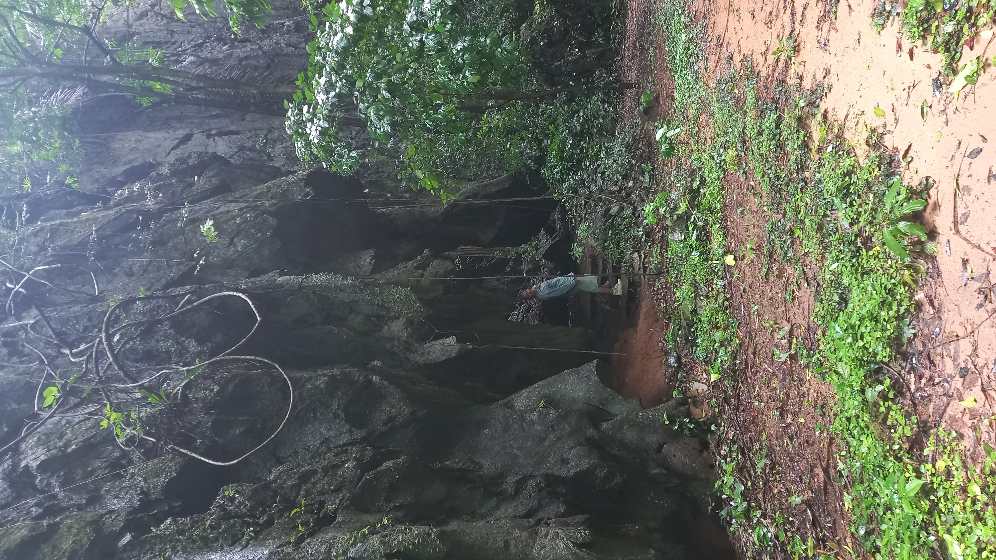 A man stands at the edge of a cave in Ban Pak Ra, Thailand. The cave entrance is surrounded by lush vegetation and exposed rock formations. The ground is muddy, with a small path leading into the cave. A rope is visible, extending from the trees into the cave entrance.