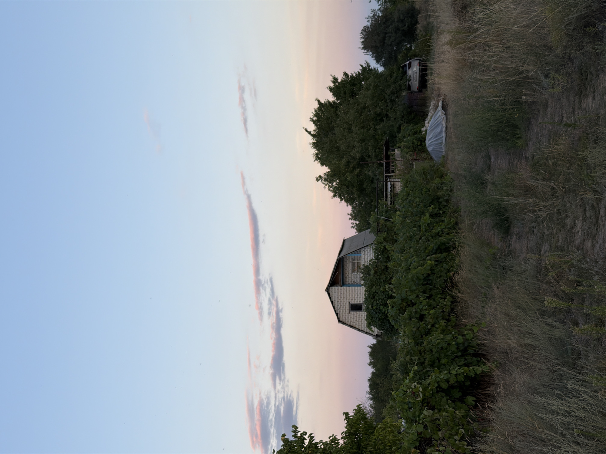 This is a vertical, medium-shot photograph taken at dusk in Nizhnyaya Lipovka, Russia. The sky is a gradient of pale blue to soft pink, with wispy pink clouds. In the middle ground, a two-story house with a gambrel roof made of white brick and dark grey metal roofing is visible. The house has a small dark window on the upper level and a section of blue trim. It is surrounded by dense green foliage. To the left of the house, there are trees with green leaves. To the right of the house, there are more trees. In the foreground, a dirt path runs diagonally from the bottom center towards the right. The path is bordered by dry, tall grasses and low-lying green plants. To the right of the path, near the house, is a small white car with its rear visible. A mound covered in a translucent tarp is situated between the car and the house. The scene depicts a rural or semi-rural setting during twilight.