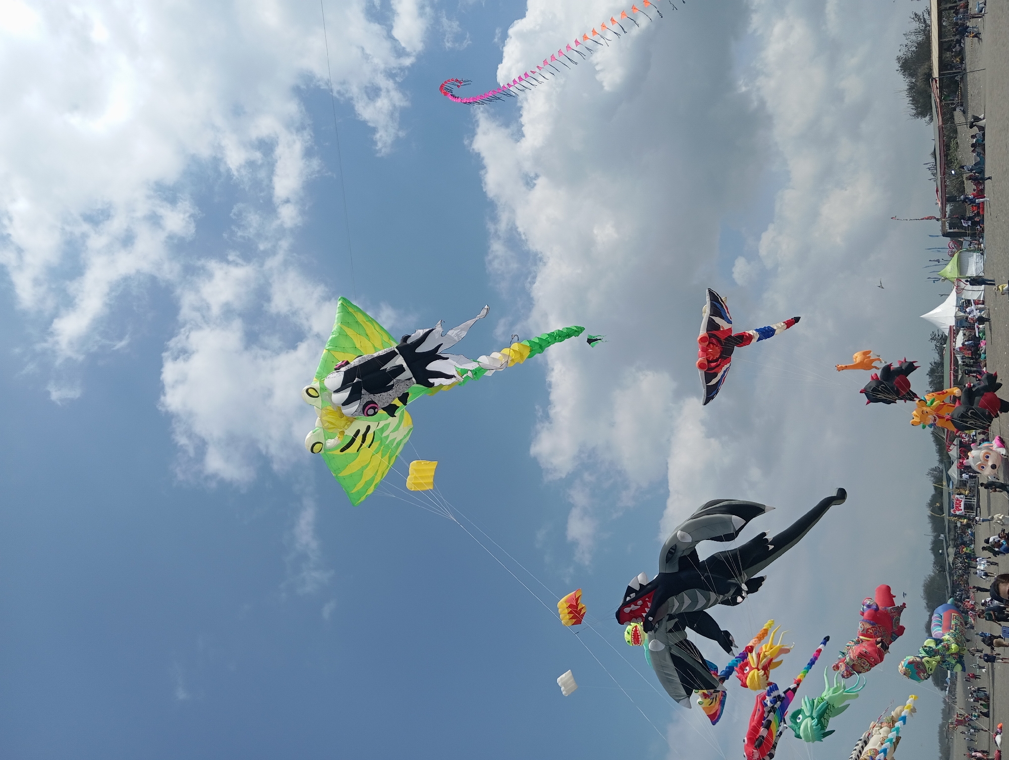 The image captures a vibrant kite festival on the beach at Parangtritis, Indonesia. The sky is a brilliant blue, dotted with fluffy white clouds. Numerous kites, in various shapes and sizes, fill the air. Dominating the center is a large, green and black kite designed to resemble a frog or a similar creature, with large yellow eyes and a long, segmented tail. To the left of the frog kite, a large black dragon kite with outstretched wings is prominent. Further down, a red and white kite with a striking design is visible. A long, pink and orange string of small triangular kites trails across the sky on the right.
Below the kites, the sandy beach is bustling with activity. A large crowd of people are gathered, some walking, others sitting, and many are observing the kites. Tents and temporary structures are set up along the coastline, indicating a festival or event. The overall scene conveys a sense of celebration and fun, with the colorful kites creating a dynamic and cheerful spectacle against the backdrop of the sky and sea.