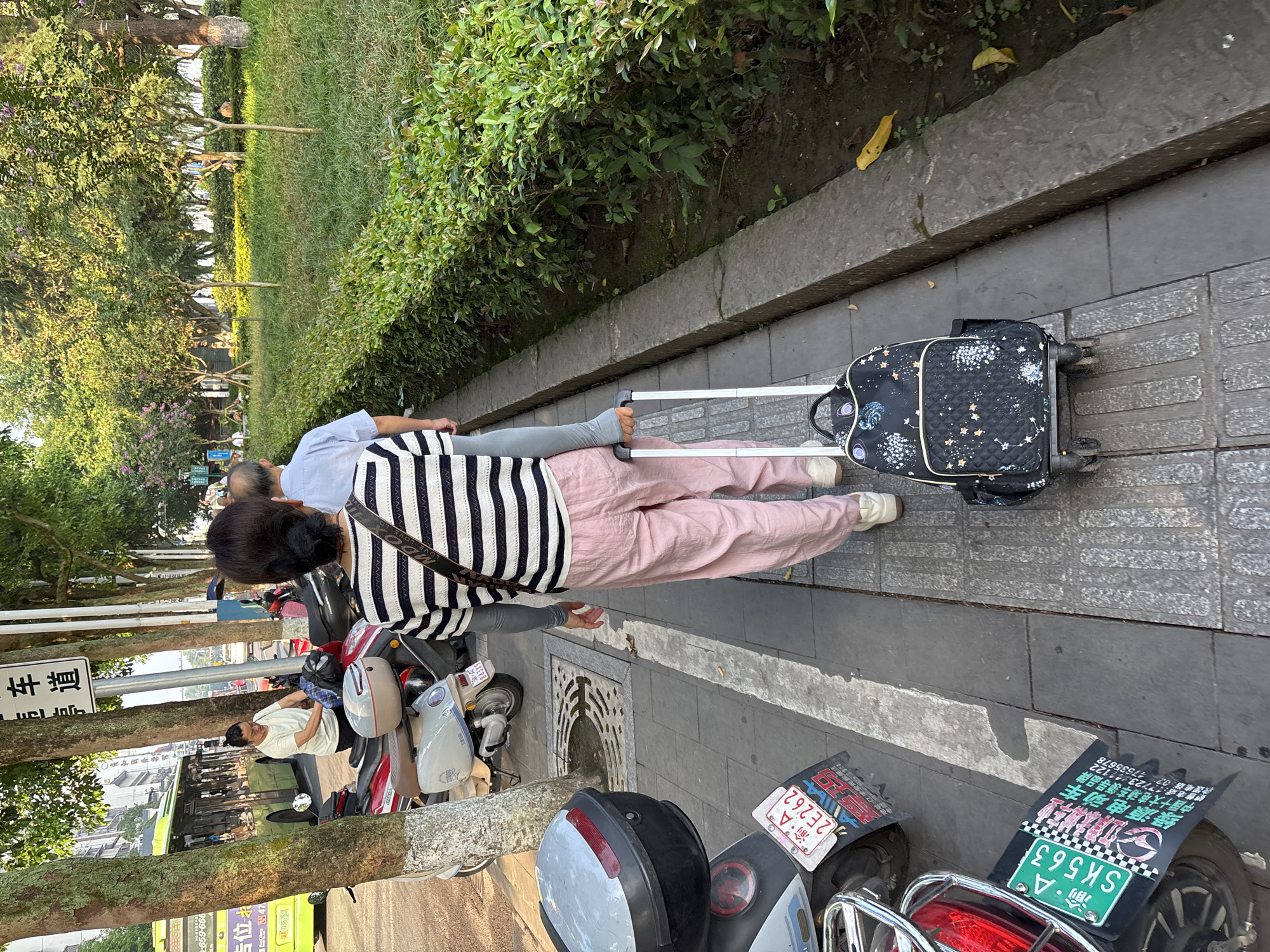 In the city of Jiangjin, China, on a sunny day, a woman with her back to the camera walks down a sidewalk, pulling a rolling backpack. She wears a striped long-sleeved shirt and pink pants. To her left, parked on the street, are several motorcycles and scooters. Further down the street, a bus is visible. To the woman's right is a well-maintained row of green bushes and trees. The sidewalk is made of grey concrete with yellow tactile paving.