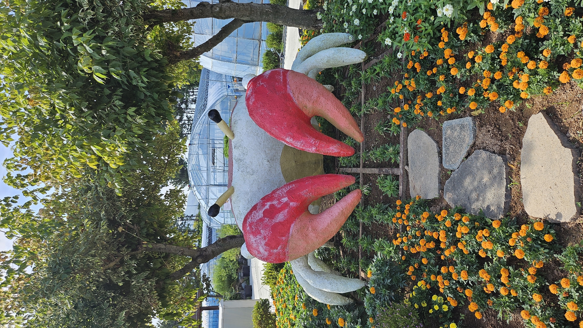 In Cheokbeonjeong-ri, South Korea, a large, stylized crab statue stands prominently in a garden setting. The crab statue is predominantly white with large, red claws tipped in pink. Two yellow stalks with black tips protrude from its head, resembling eyes. The statue is surrounded by a vibrant display of orange marigolds and some white flowers. Stone pavers create a path leading towards the crab. In the background, several greenhouses are visible, suggesting a horticultural or agricultural context. Trees with green foliage frame the scene, and the sky is a clear blue. The environment appears to be a park or an outdoor exhibition area.