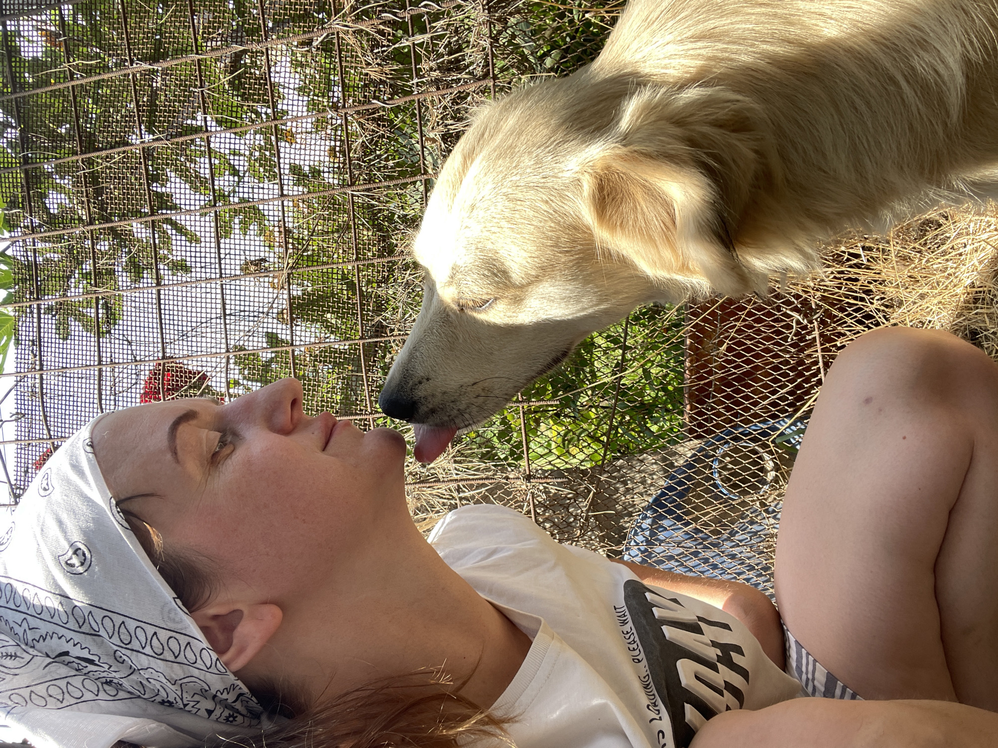 A woman with a bandana tied around her head and a white t-shirt is leaning towards a light-colored dog. The dog is licking the woman's nose. They are outdoors in front of a wire fence. Behind the fence, there is greenery and dry grass on the ground. The image appears to be taken in the city of Aktau, Kazakhstan, given the context.